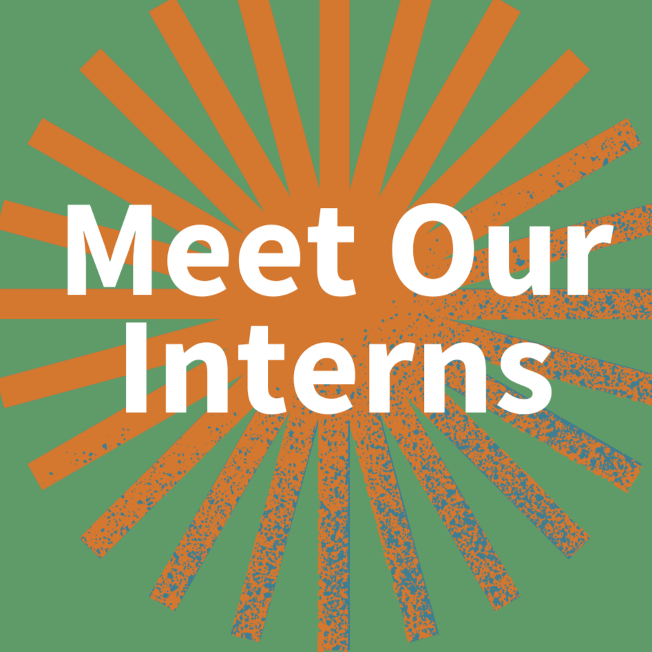 Meet our new interns