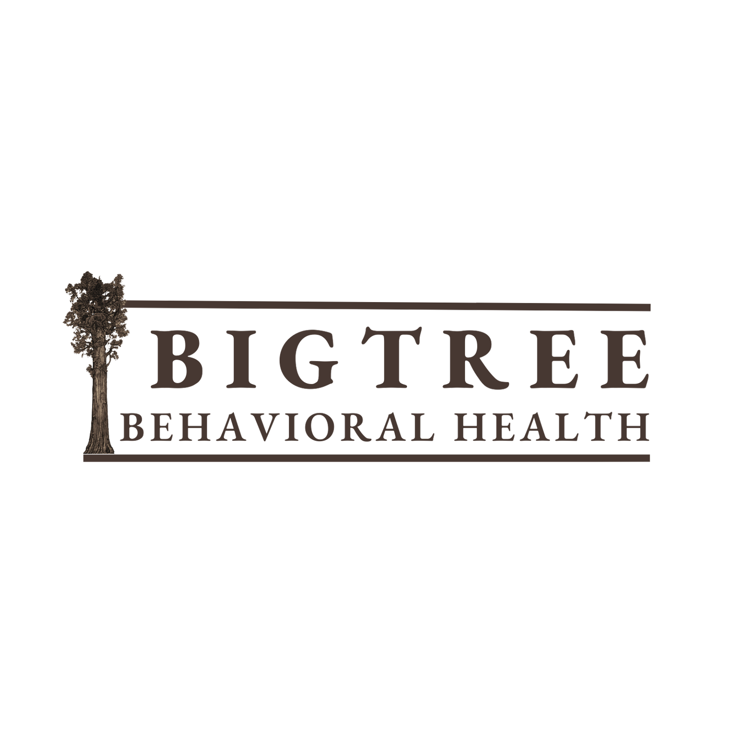 BigTree Behavioral Health Services