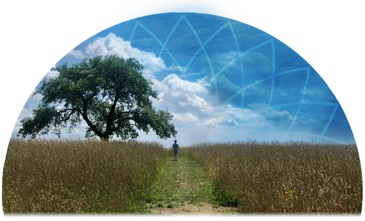 Drishti: Collaboration