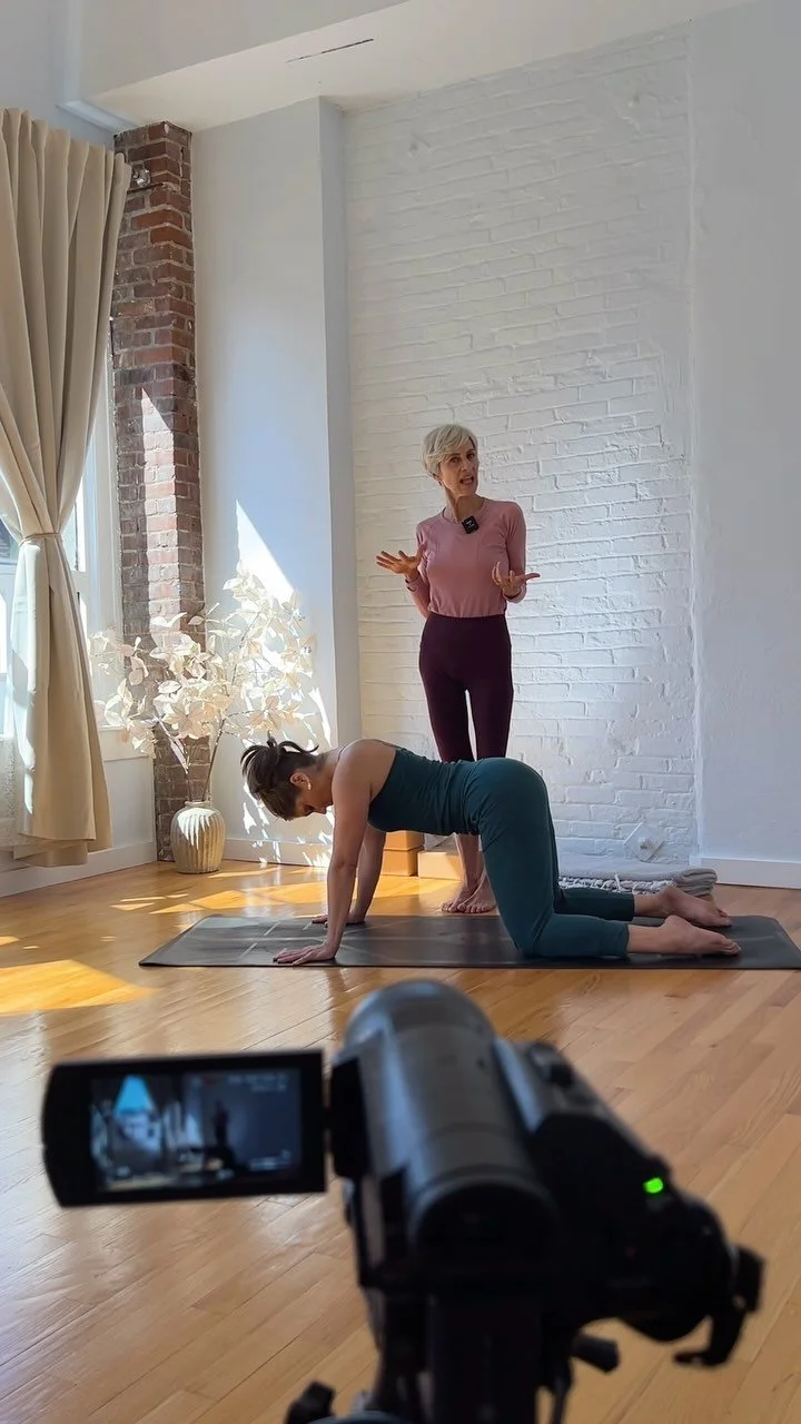 Yoga Classes In Greater Boston Down Under School Of Yoga yoga-classes-in-greater-boston-down-under-school-of-yoga