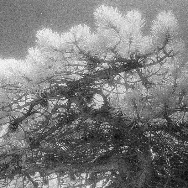 Please Don't Use Ashtanga Yoga As A Blunt Instrument With Which To Beat Yourself To Death