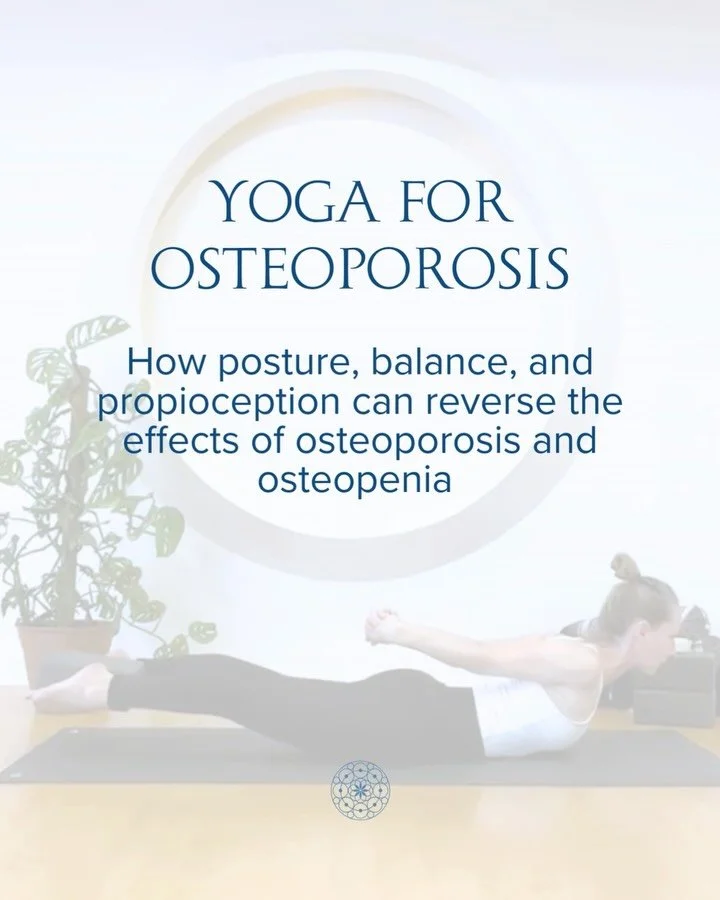 Our Yoga for Osteoporosis Series I &amp; II with Masha Leuner is a research-informed, four-week progression designed to improve bone strength, balance, and safe alignment with particular attention to the spine and hips, which are areas most vulnerabl