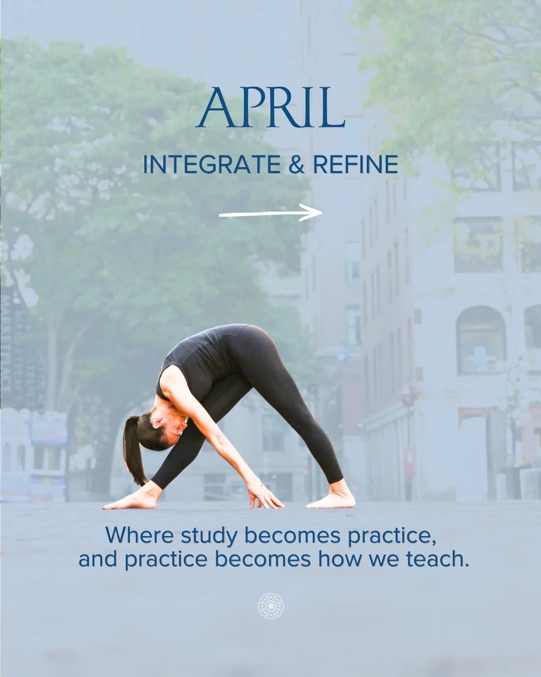 This month at Down Under 🩵 As practice deepens, the line between study and teaching begins to dissolve &mdash; what we learn becomes how we move, and how we move becomes how we teach.

Across teacher trainings, teacher development sessions, workshop