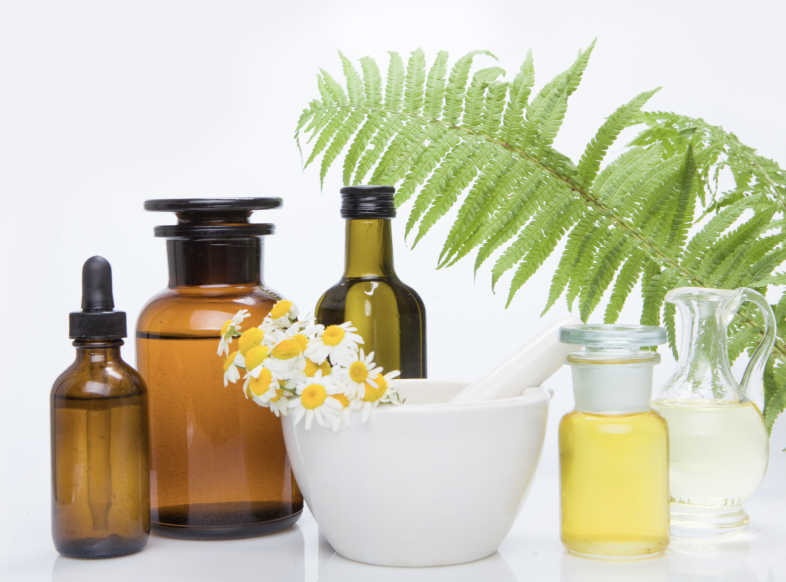 The Boston Ayurveda School at Down Under School of Yoga — Down Under