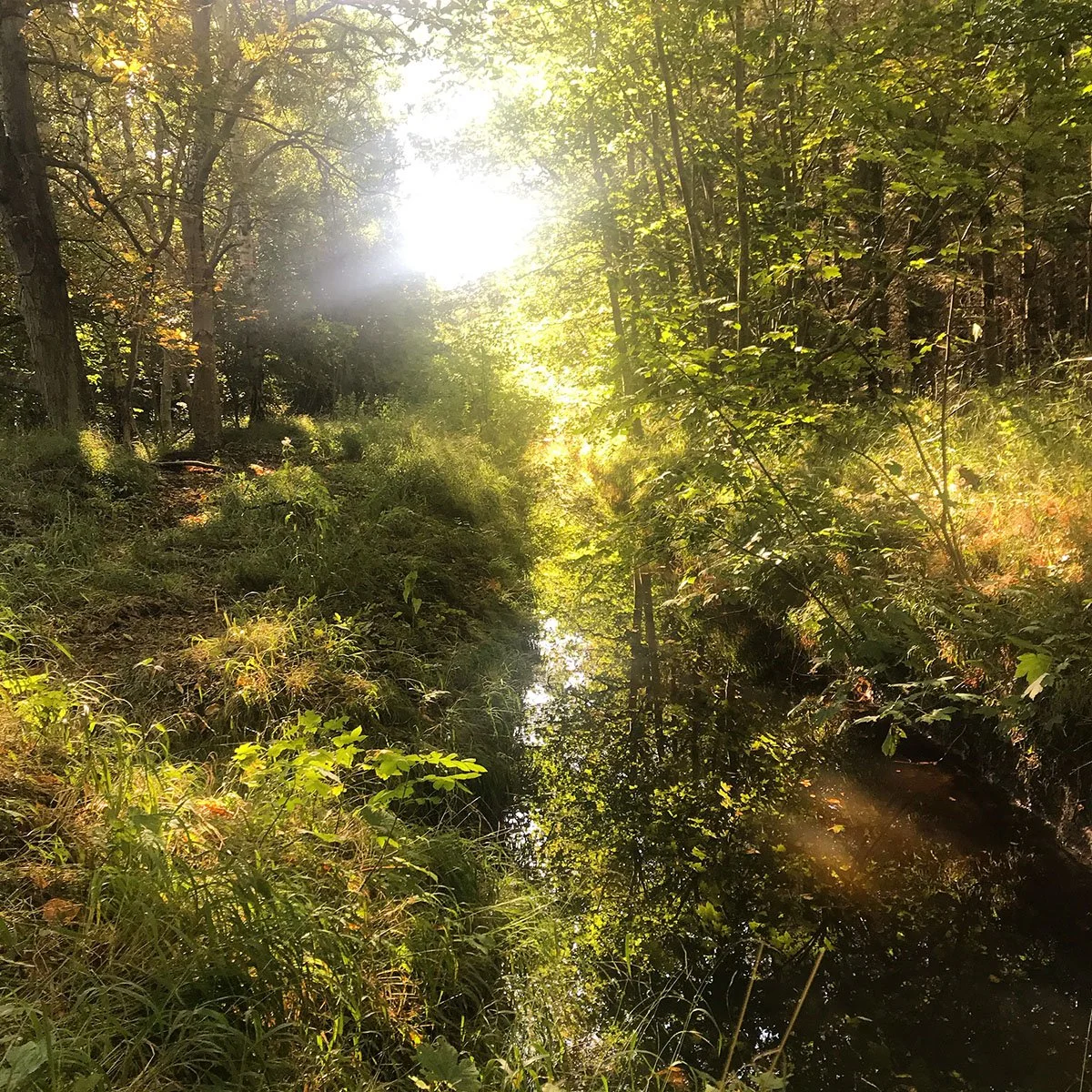 Light shining through.