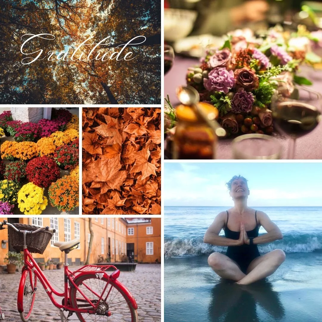It's Thanksgiving Day in the United States. And despite the many (many) issues I have with this day and its history, I generally find it helpful to focus on gratitude. Not because I think that's easy, but rather because I know that it is not. 

So if