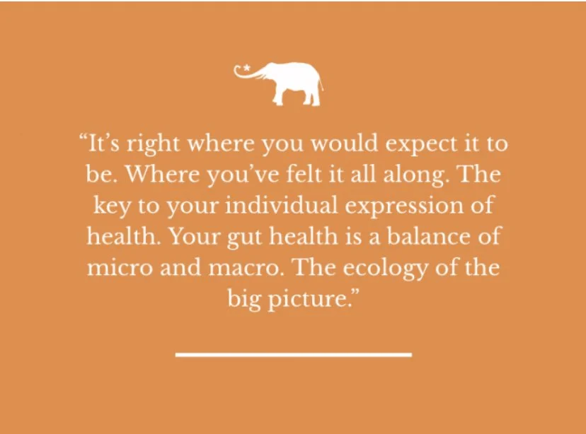 Guts.  Brains. &amp;… Bugs?