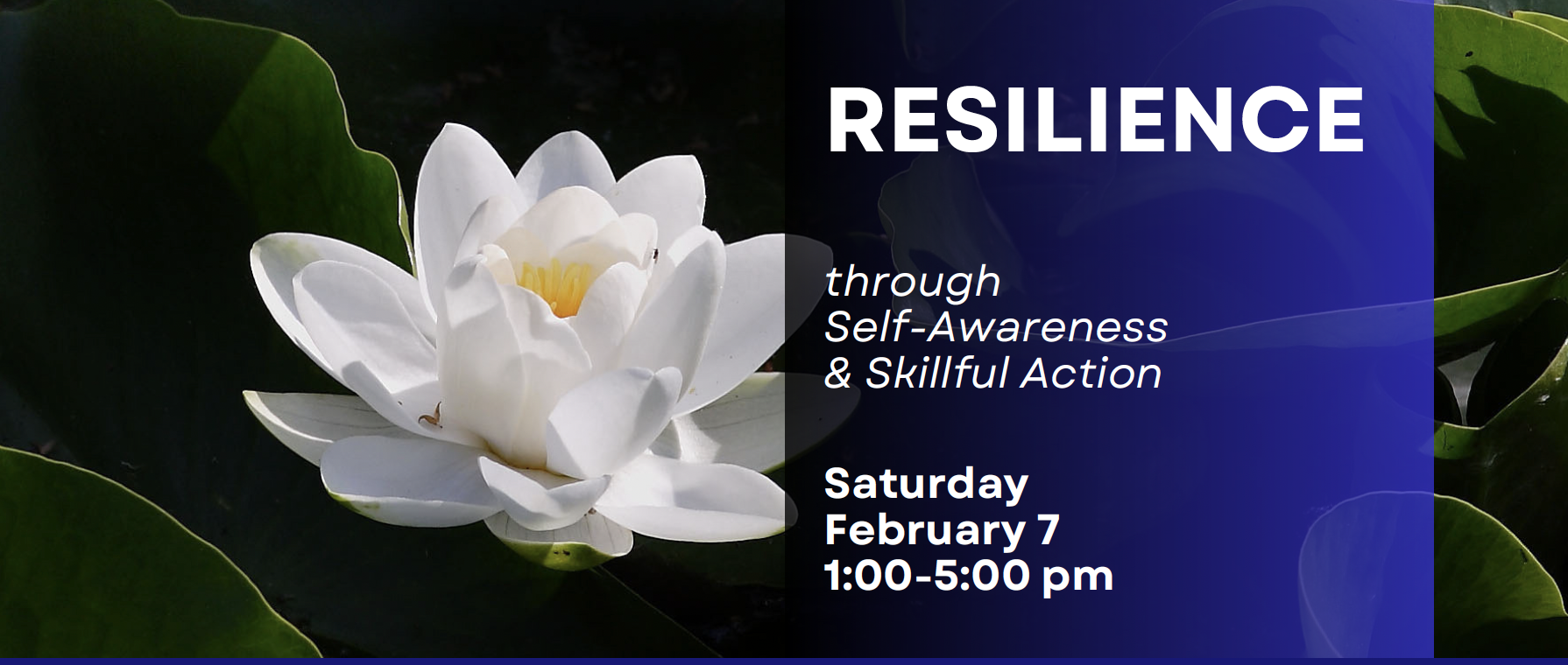 Screenshot 2026-01-03 at 11.13.28 PM.png