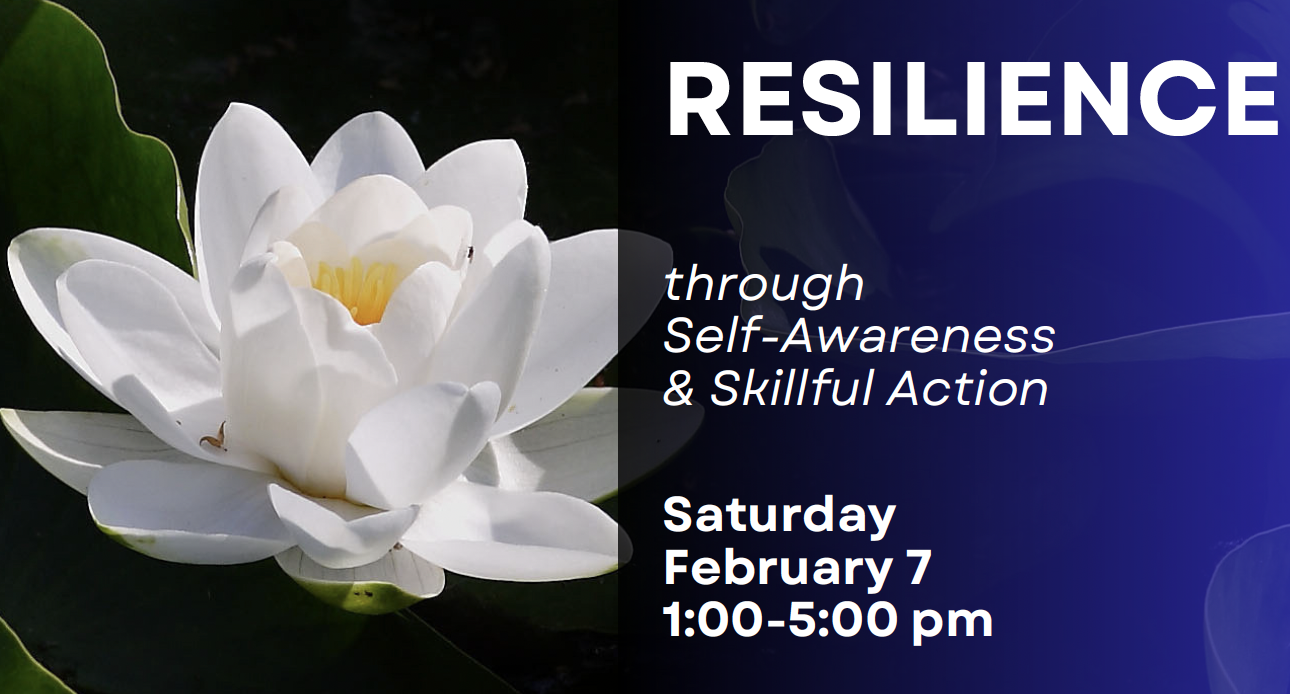 RESILIENCE through Self-Awareness and Skillful Action