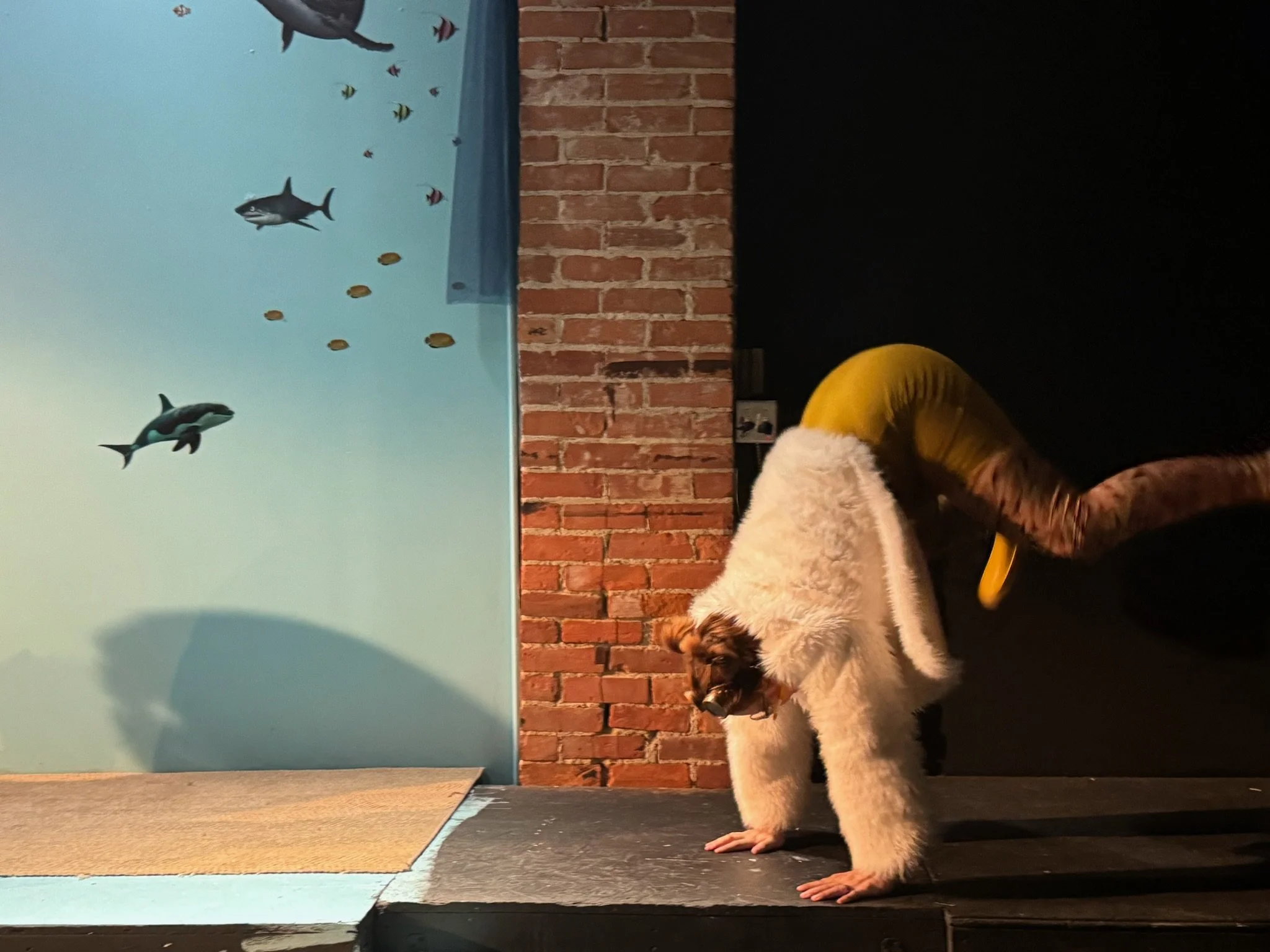 Scuttle - The Little Mermaid 