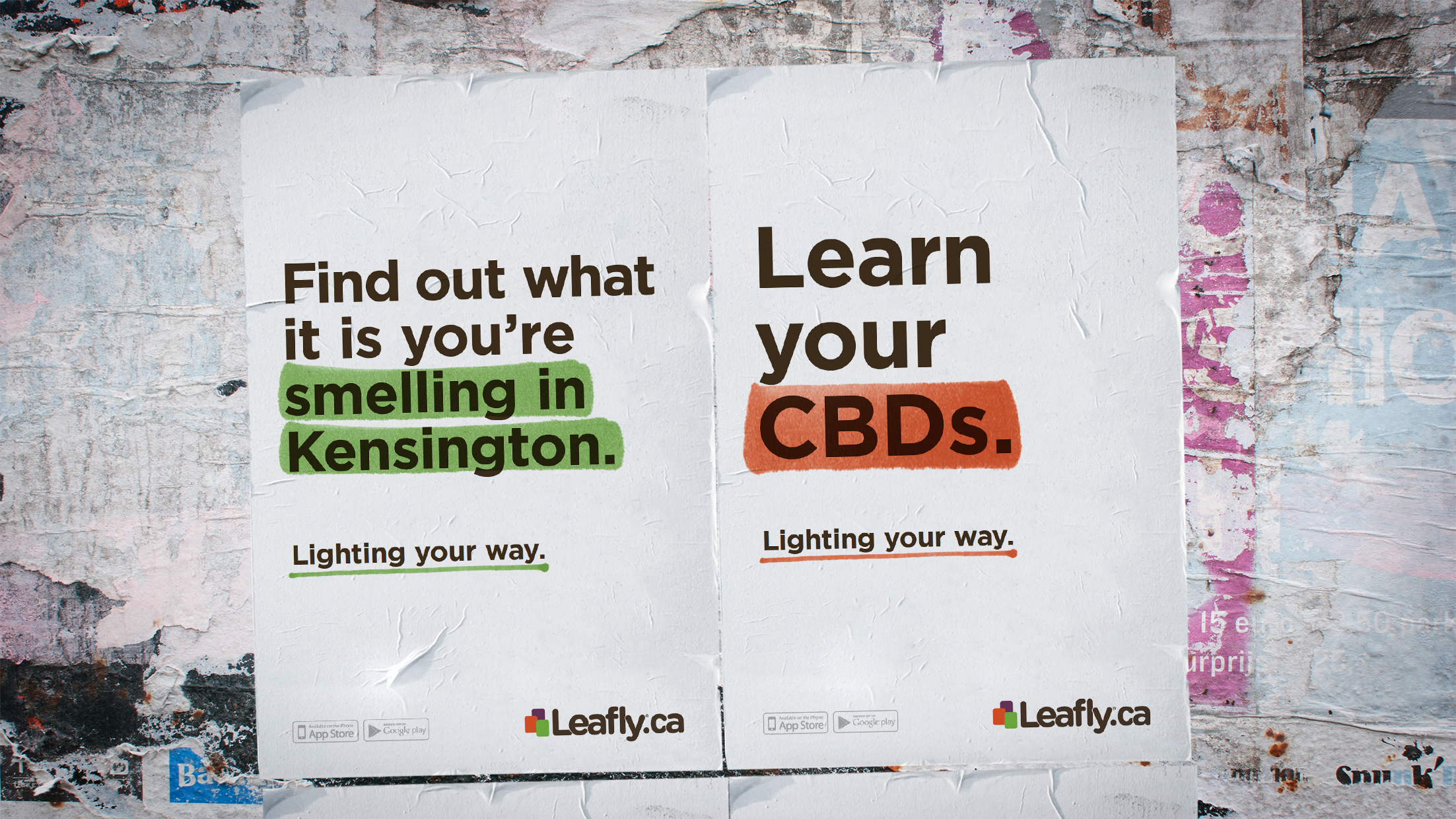 Leafly Wild Postings 1.png