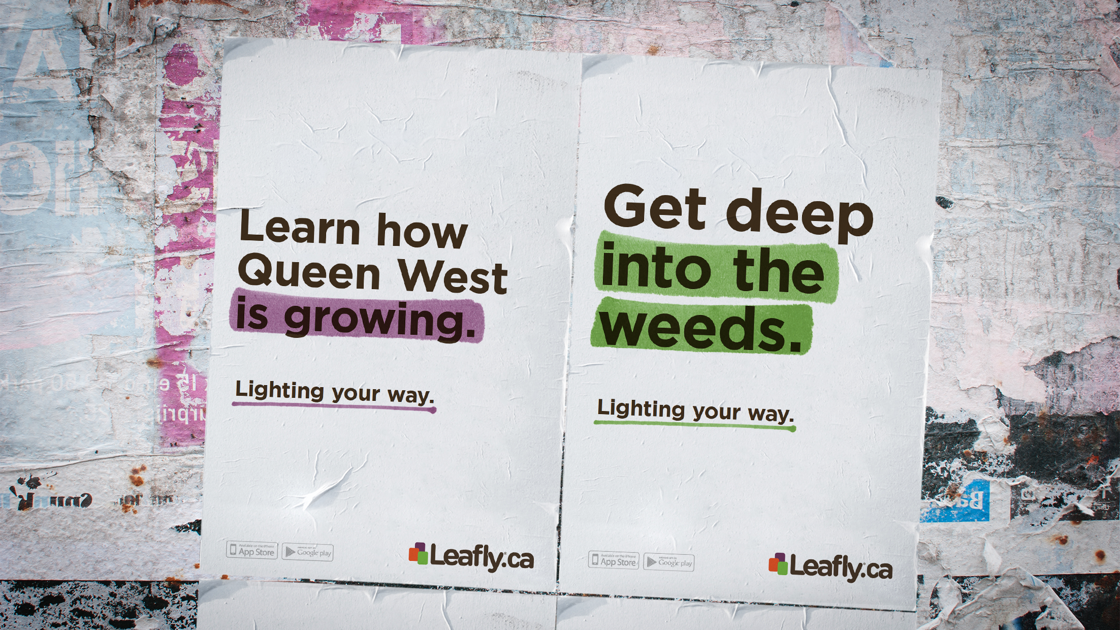 Leafly Wild Postings 2.png