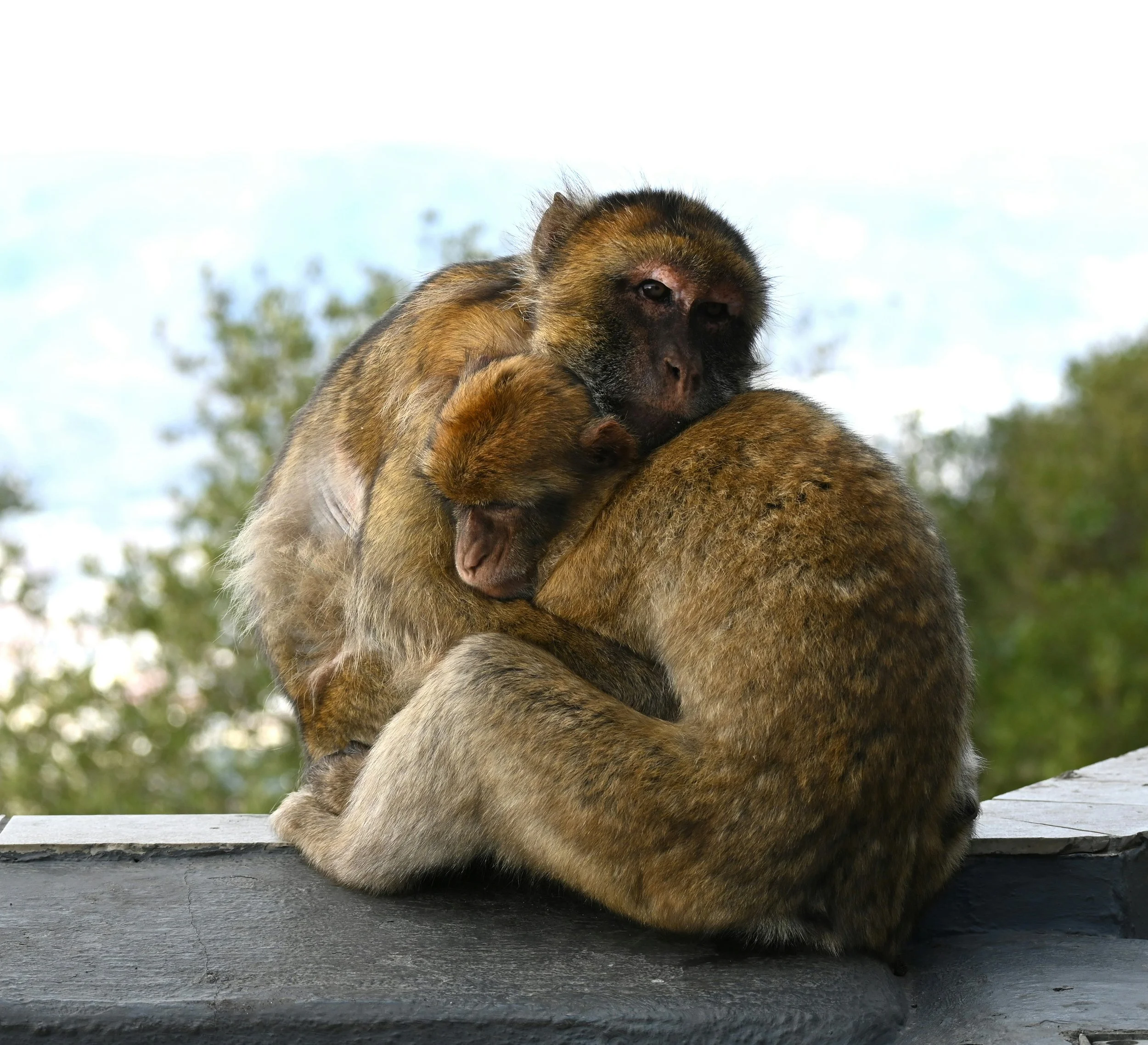 What is job hugging? And should you be doing it?