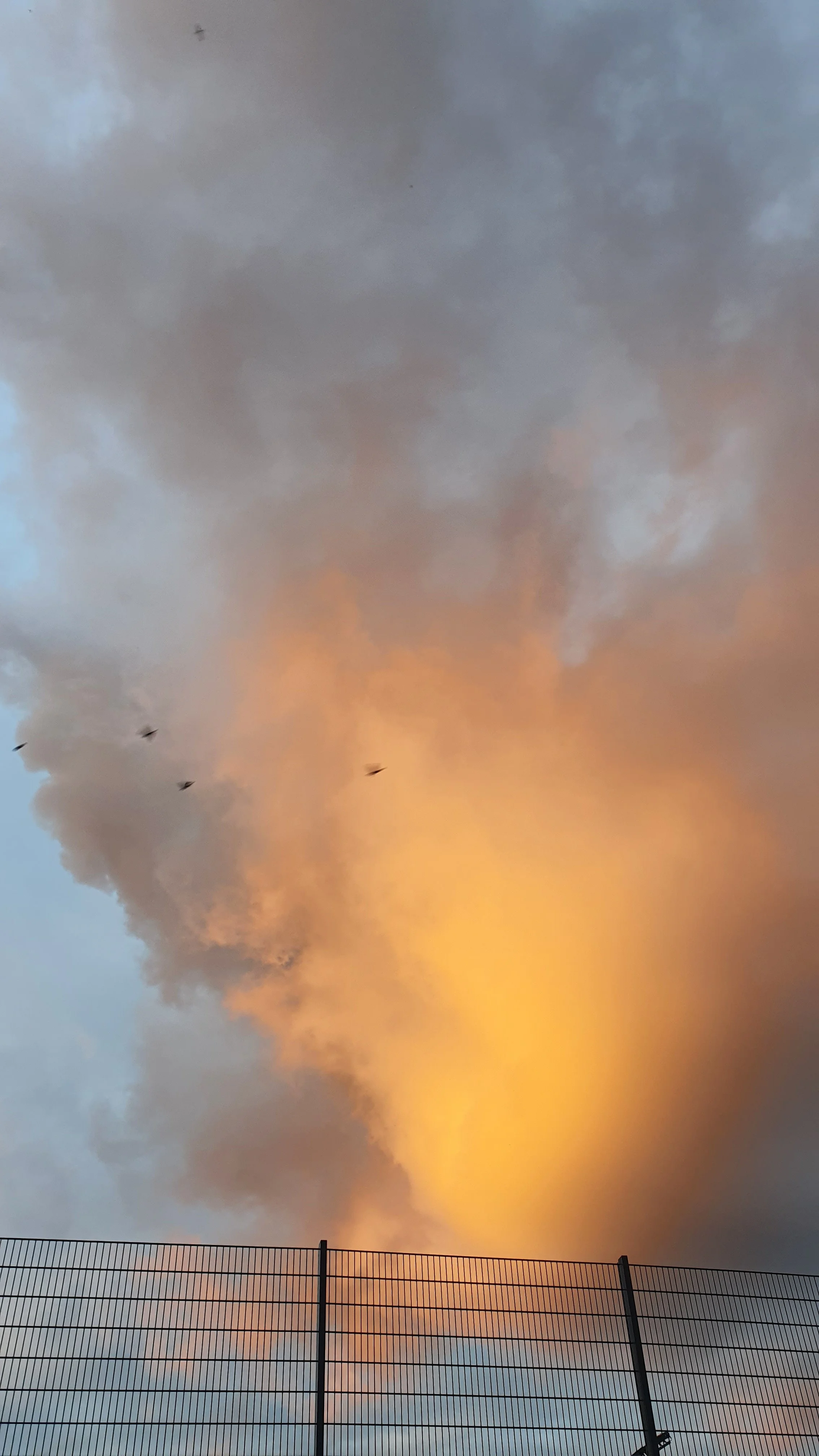 20220923_185929.jpg