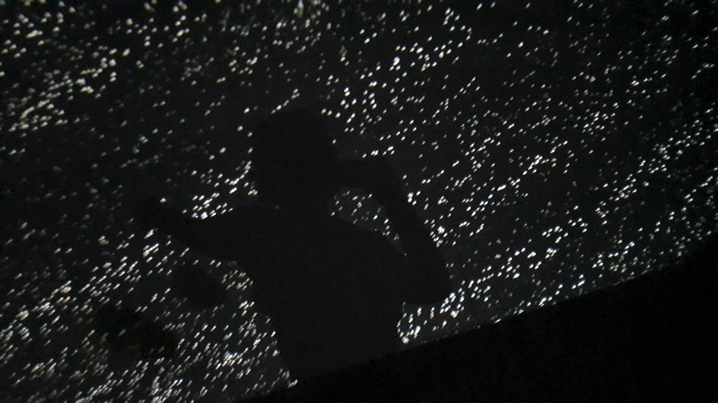 20220220_144048.jpg