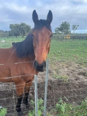 Timmy Lisa Parmenter.jpg