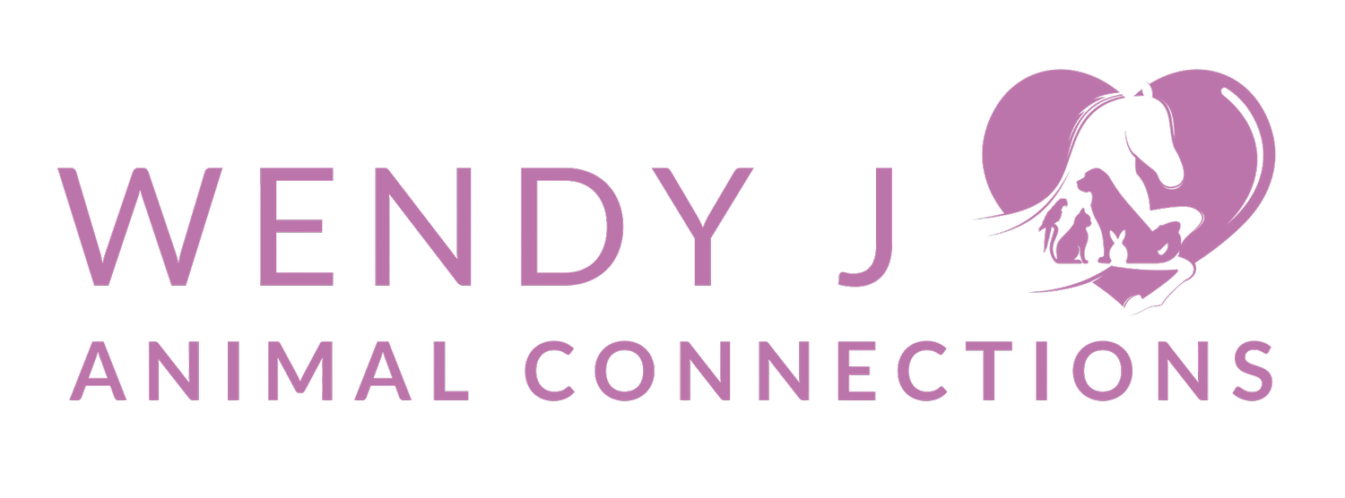 Wendy J Animal Connections