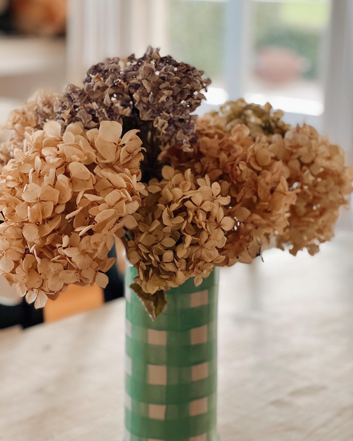 Dried up hydrangeas from the garden @cressyhouseestate in a beautiful vase by the talented @noss_and_co looking beautiful in the home of Chatsworth ✨

@noss_and_co is now fully booked for the vase workshop in September here @chatsworth_tasmania ! Kee
