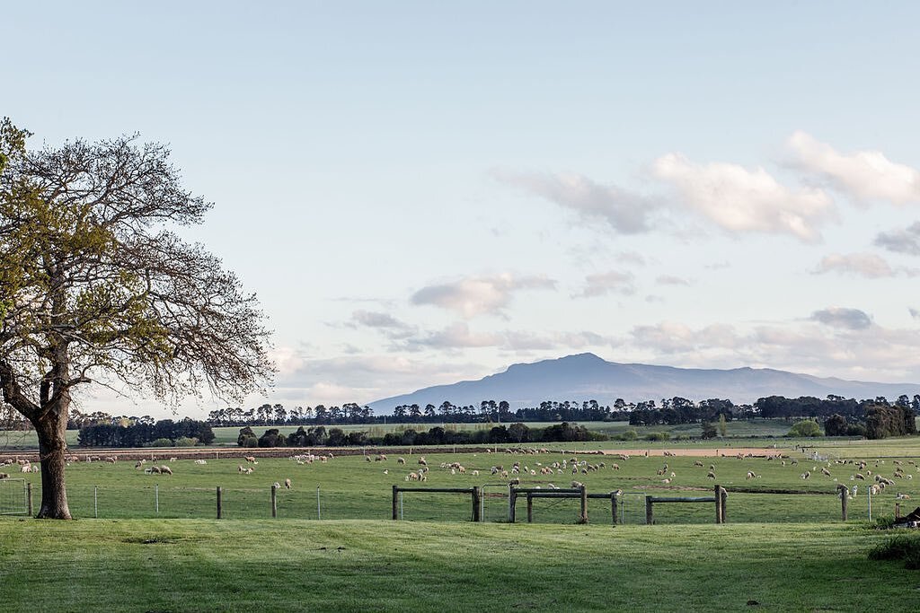 ~Land really is the best art~ 

Quote by Andy Warhol

#landscapephotography #sheep #hills #nature #farmland #cressy #tasmania #longfordtasmania