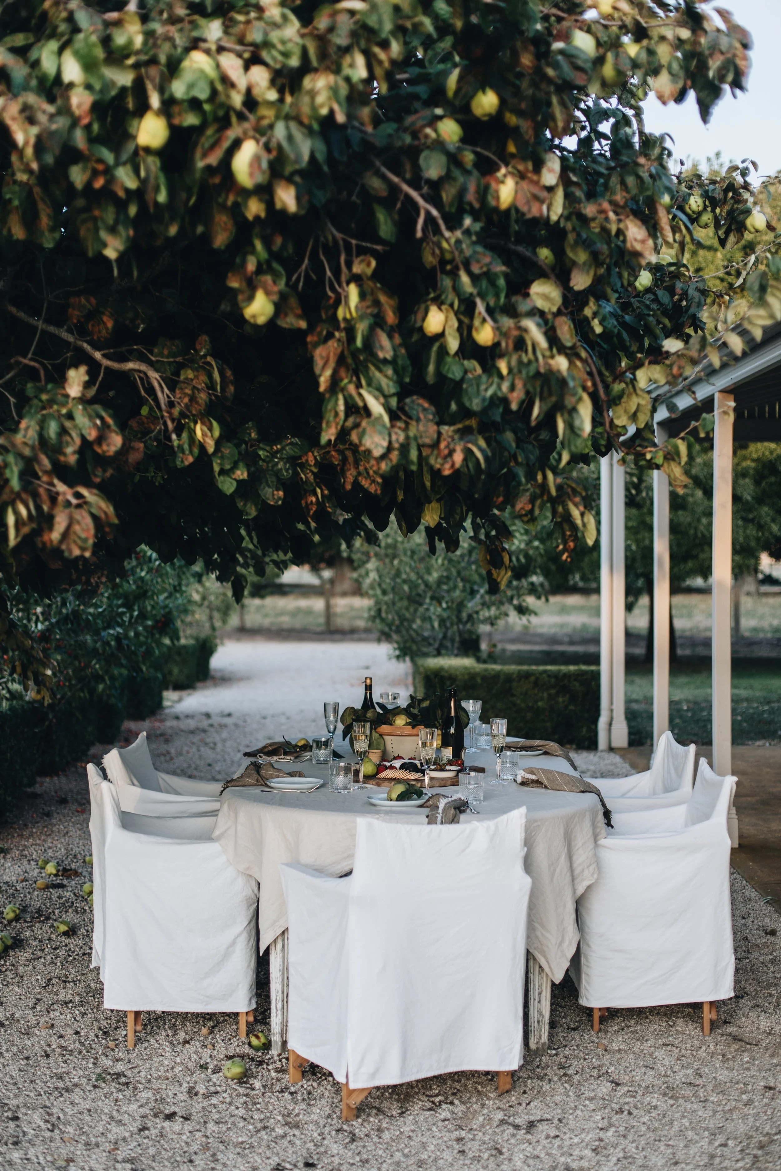 Dining in hyggelig cosy garden