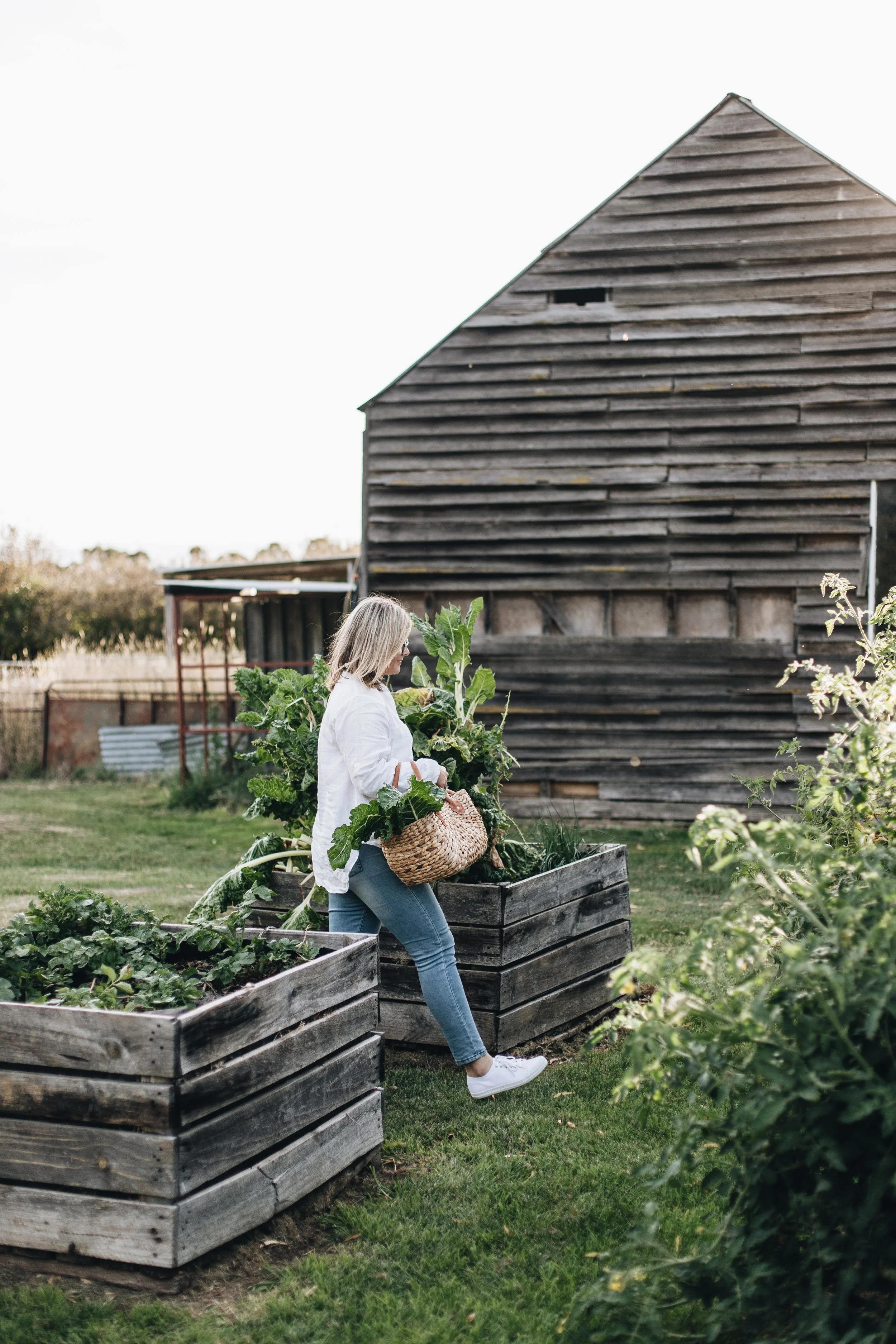 Picking veggies from the garden