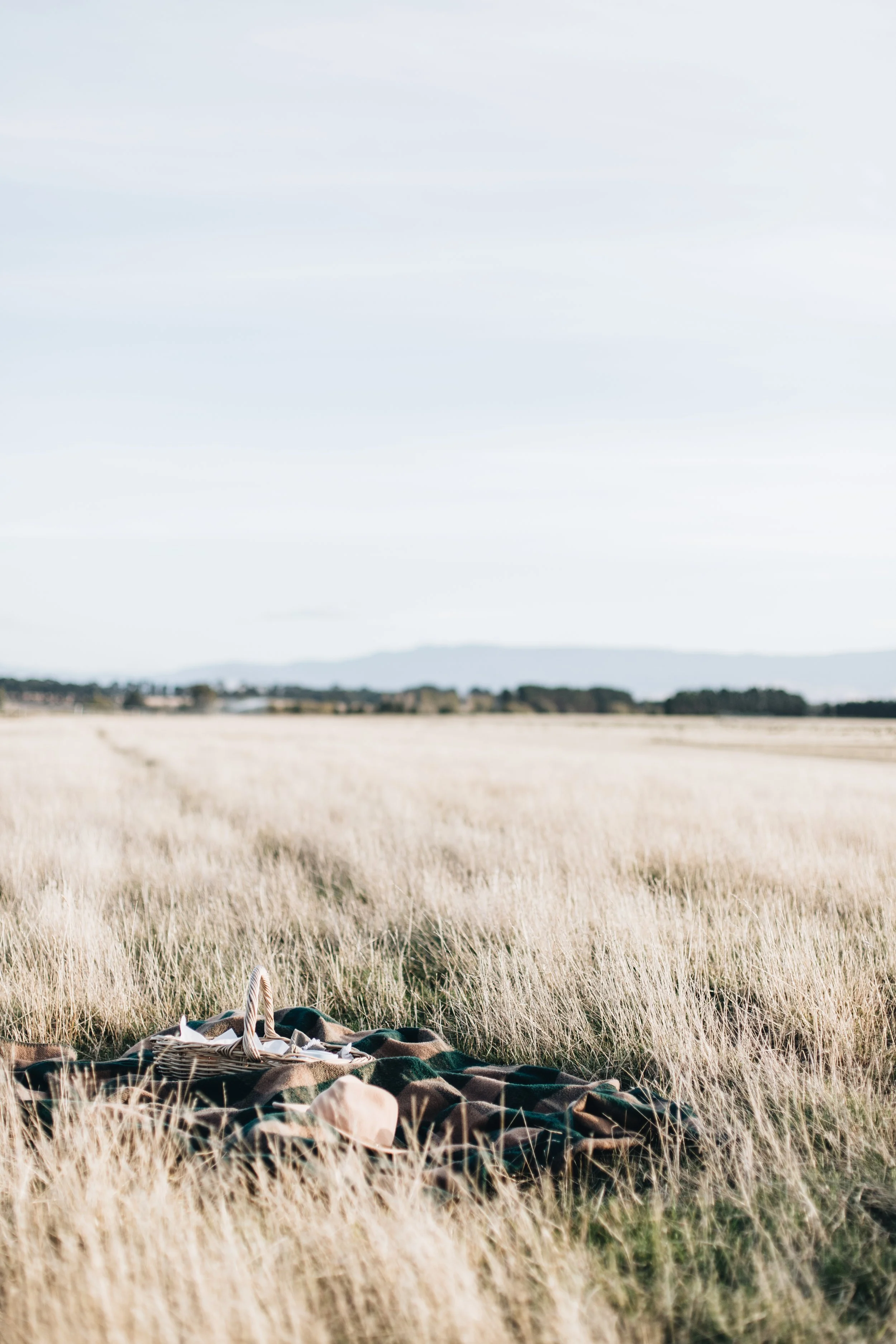 picnic in the paddock