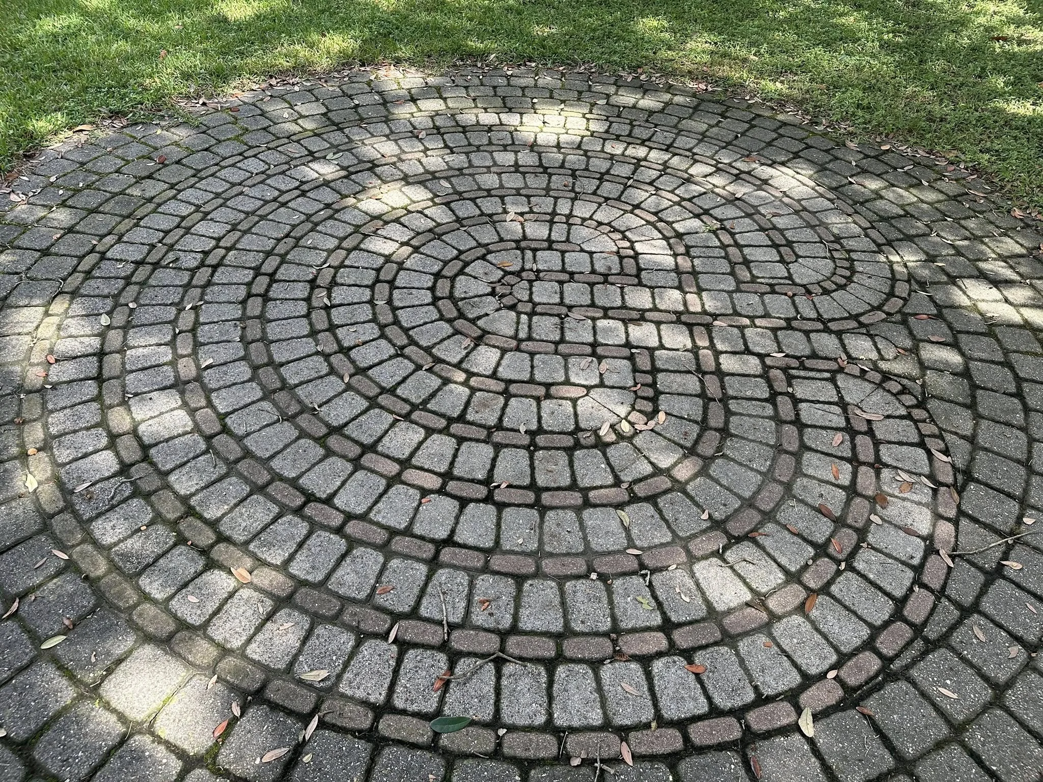 571126237_10166317518669832_7140774546498647276_n.jpg