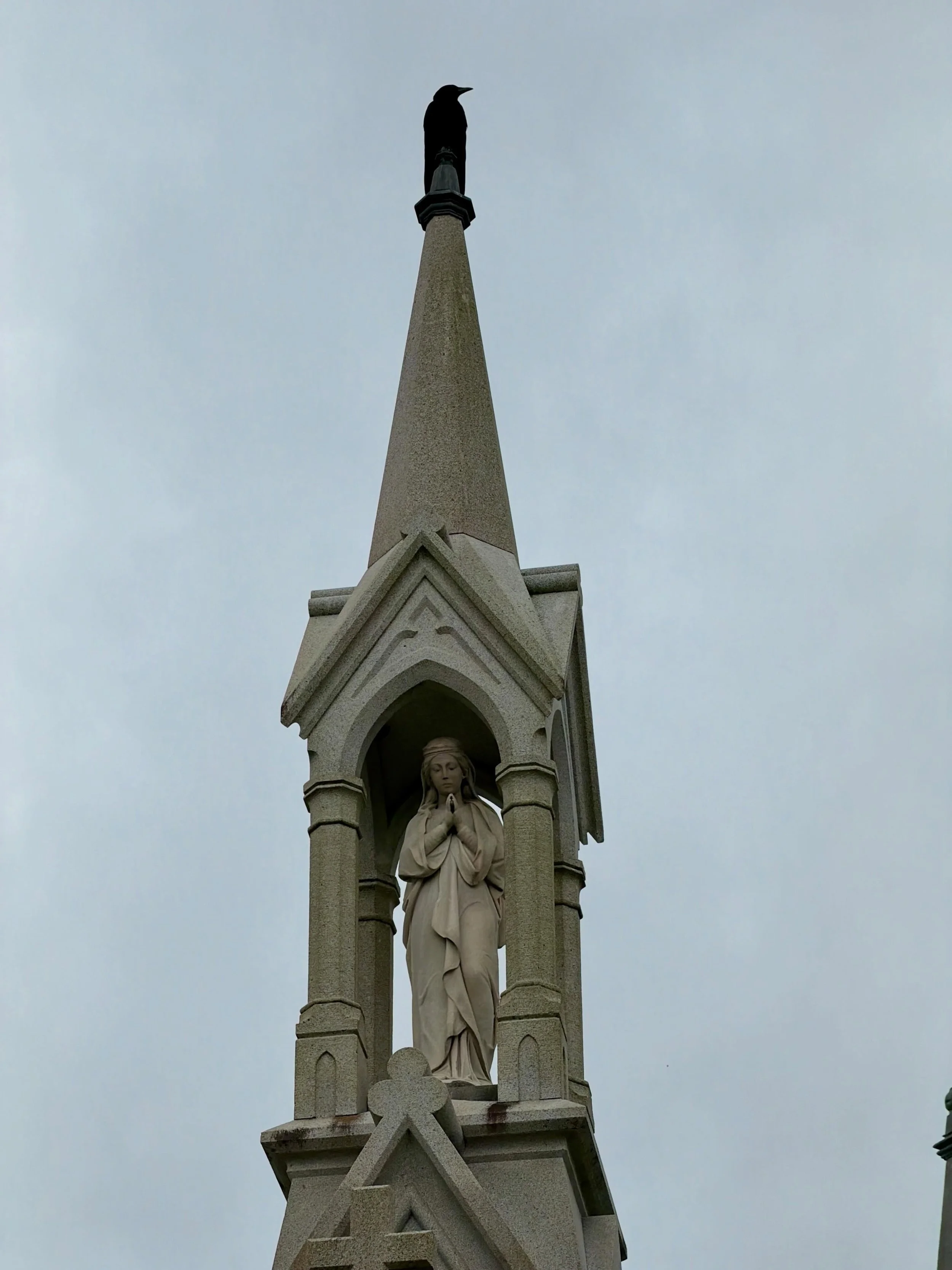 Chuck, one of my favorite crows following me on my tour today of Metairie Cemetery. Here he is resting on top of the Monteleone tomb - as in the famous Hotel Monteleone and the amazing carousel bar! @hotelmonteleone  #cemetery #cemeteries #neworleans