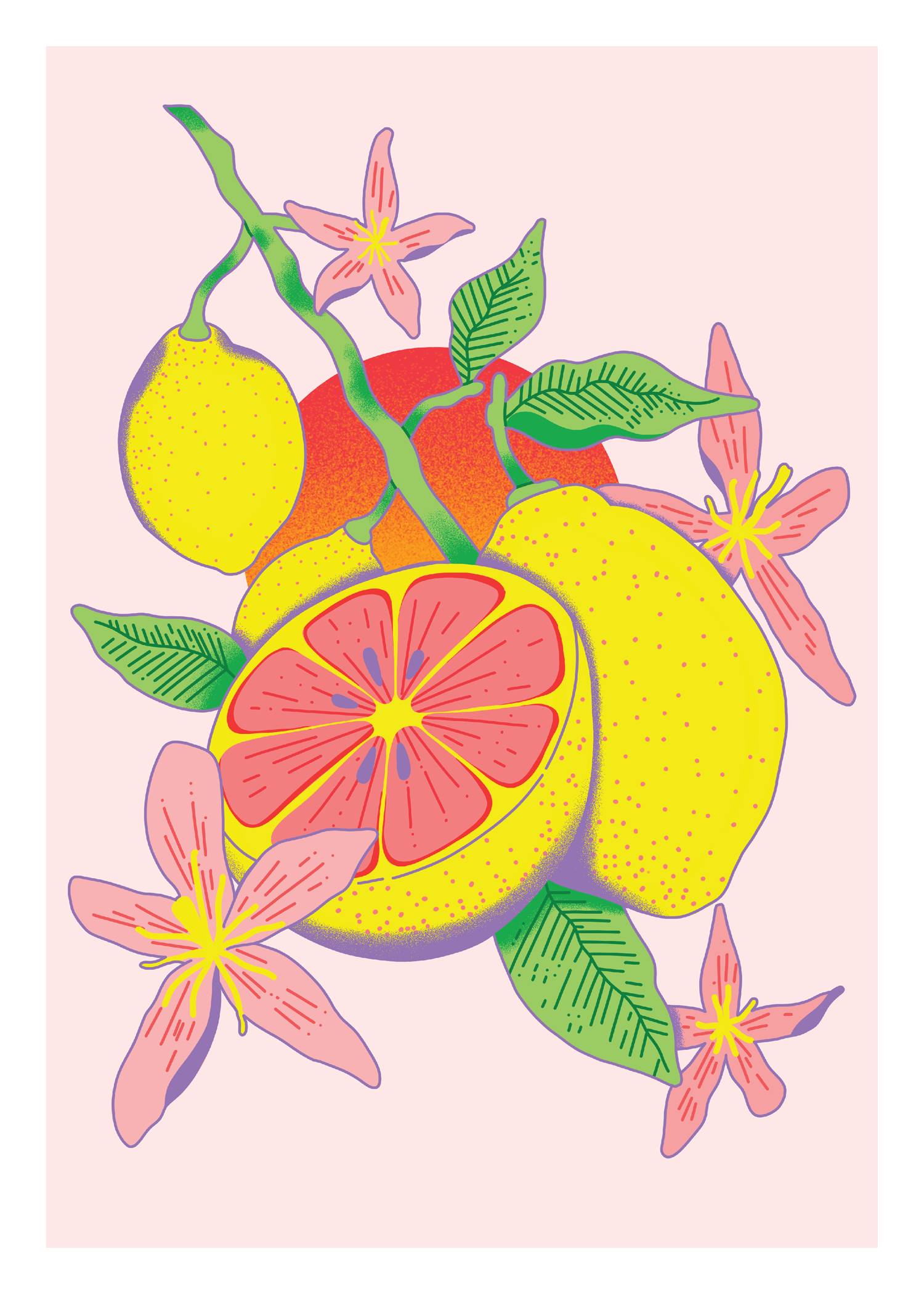 pink lemon_jmv_post.png
