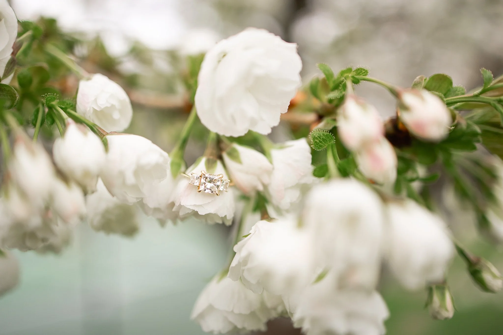 Krumm-Engagement-3.jpg