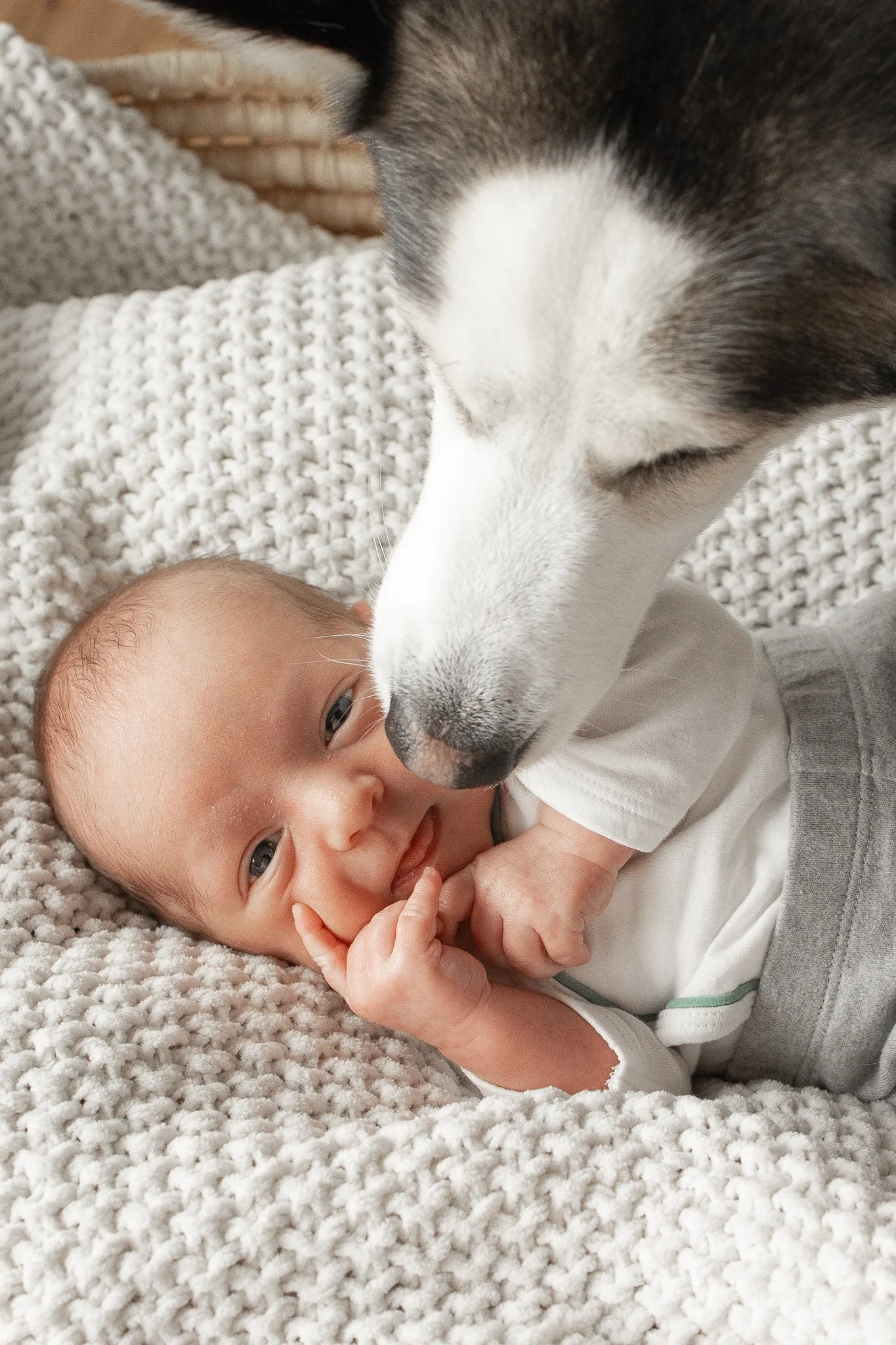 Birnbaum-Newborn-3.jpg