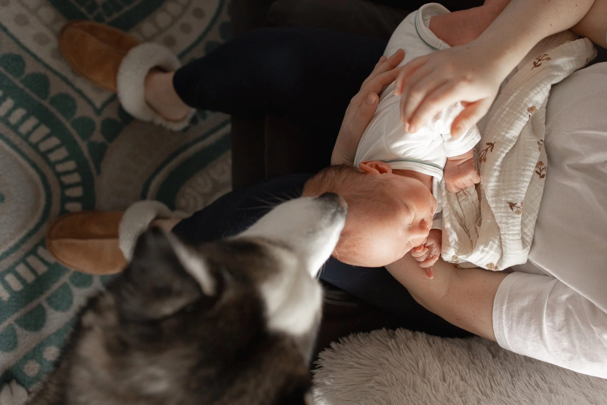 Birnbaum-Newborn-1.jpg