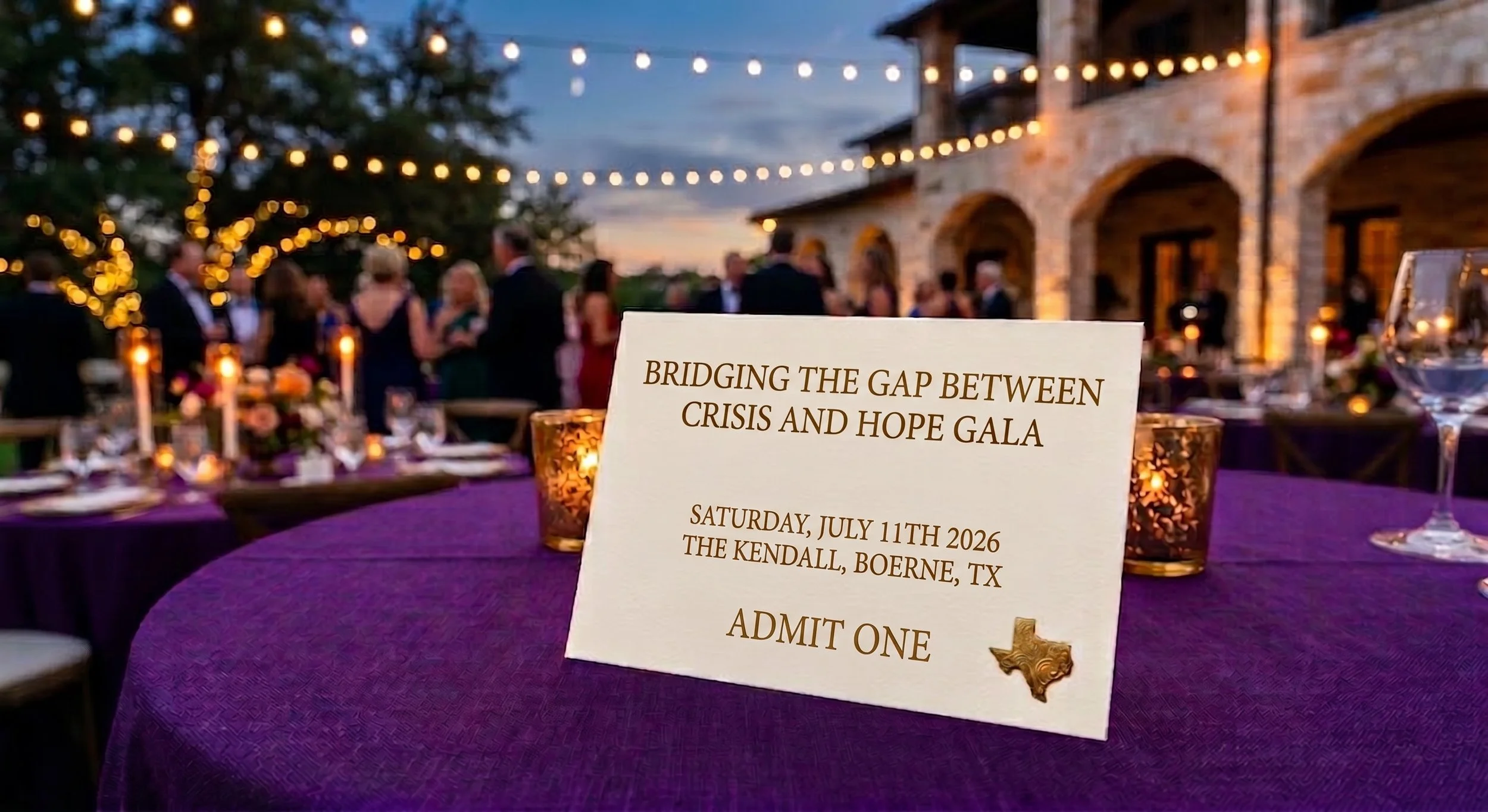Individual Seat - Bridging the Gap Gala