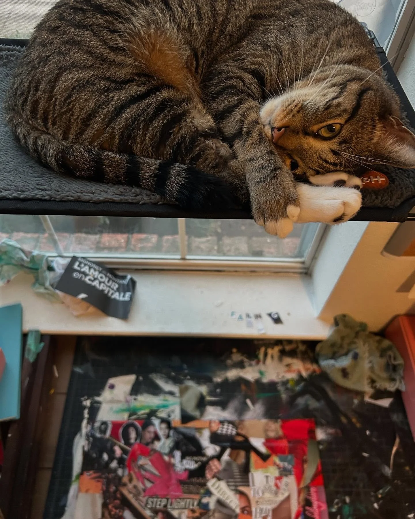 Basil is supervising me from his new window perch while I finish a few pieces.

#mixedmediacollage #mixedmediaartist #womenintheworkplace #cats_of_instagram #workinprogress