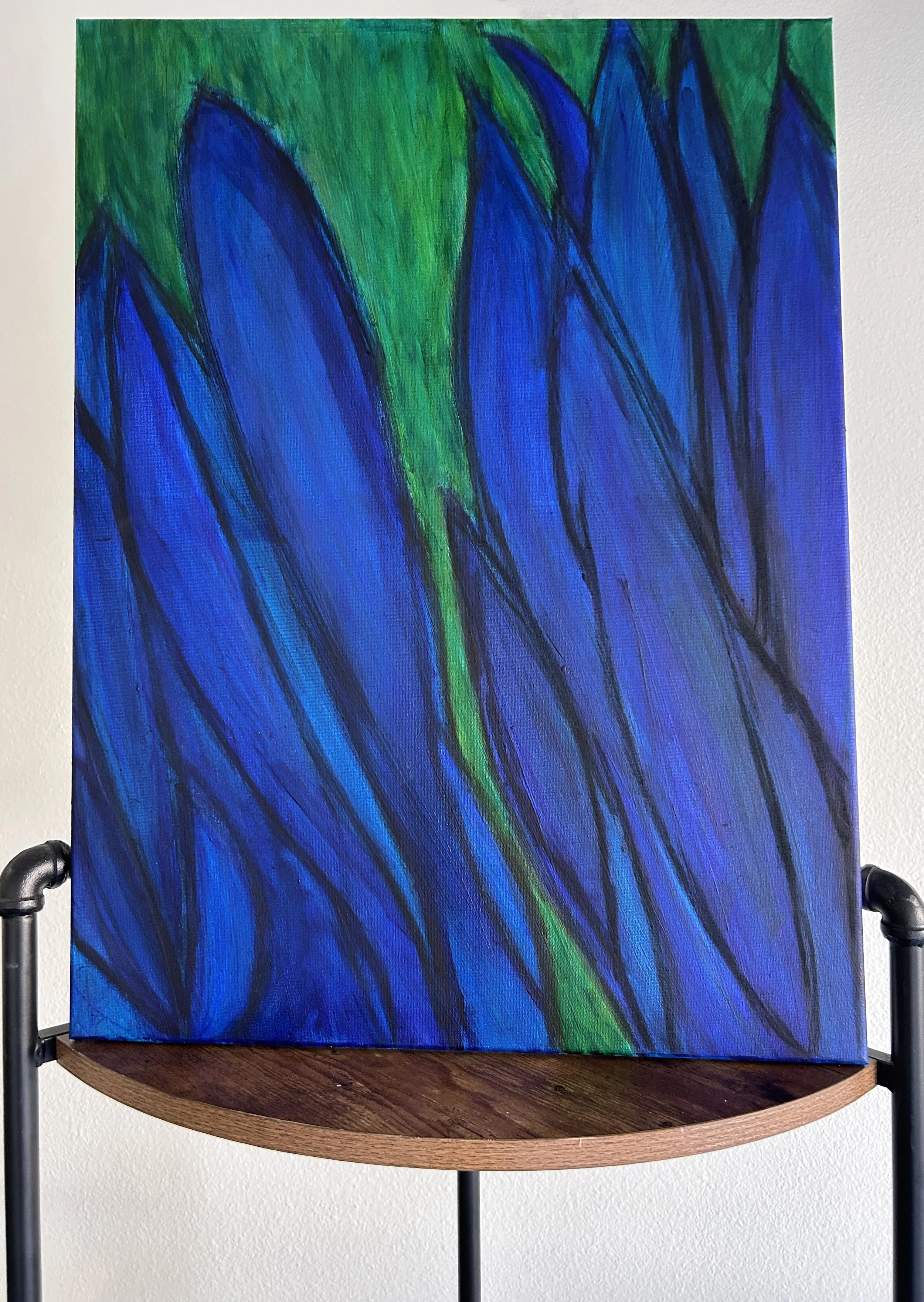 Seaweeds on shelf.jpg
