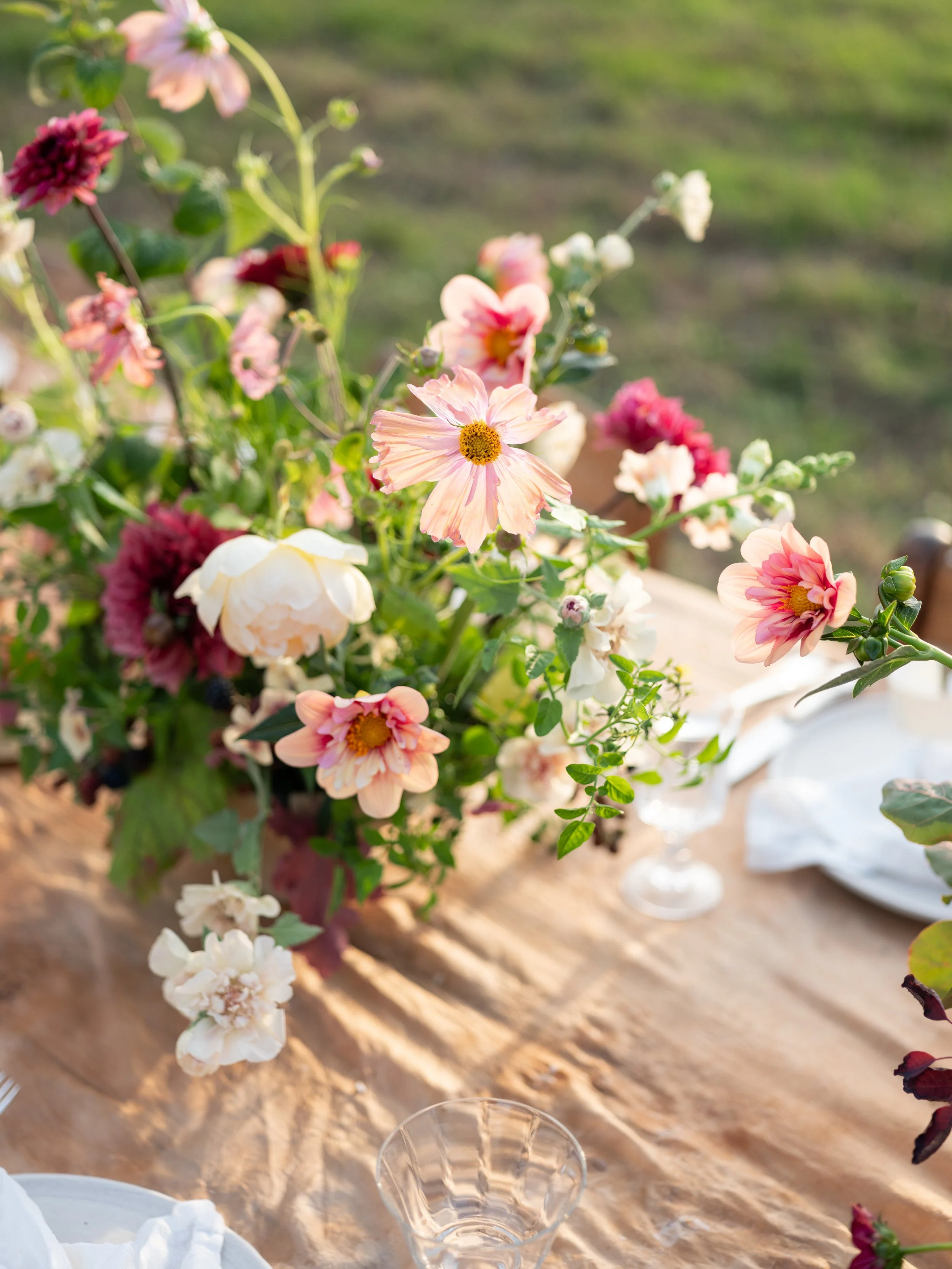Harmonie 2026 - Raisa Zwart Photography-515.jpg