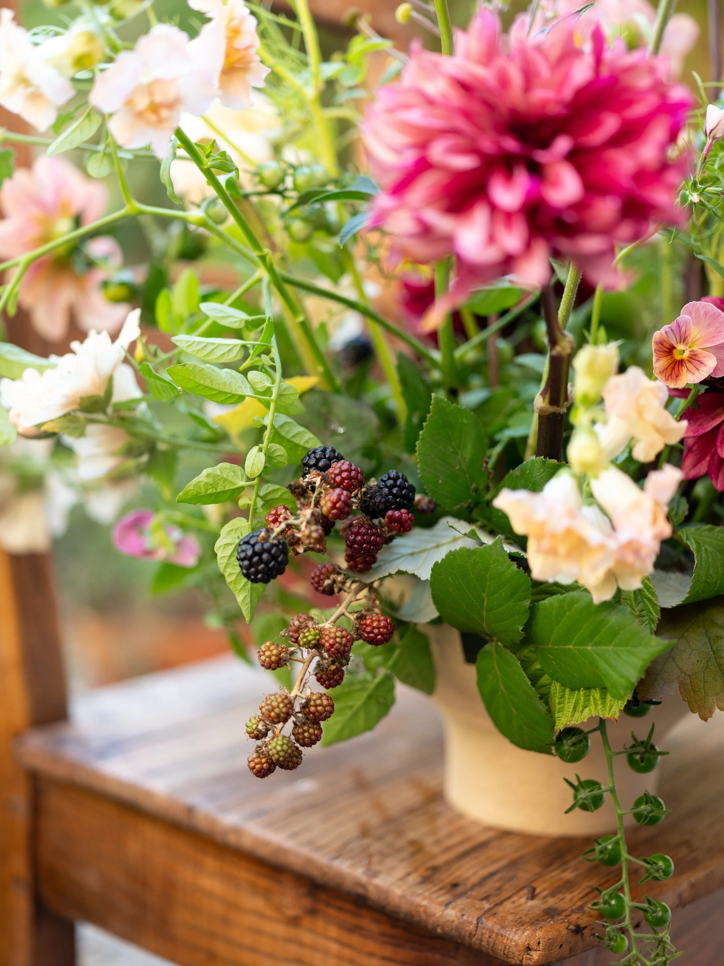 Harmonie 2026 - Raisa Zwart Photography-324.jpg
