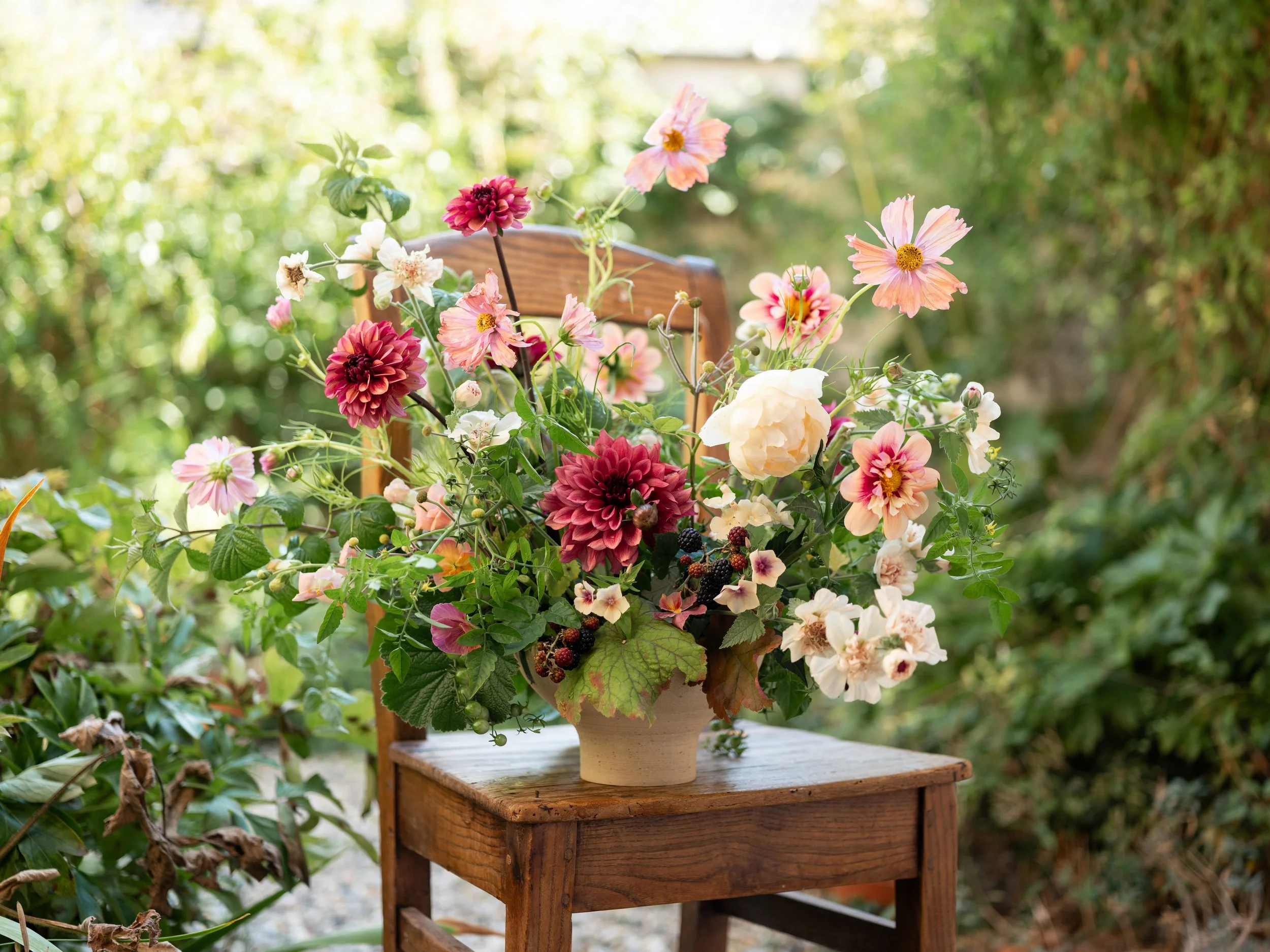 Harmonie 2026 - Raisa Zwart Photography-330.jpg