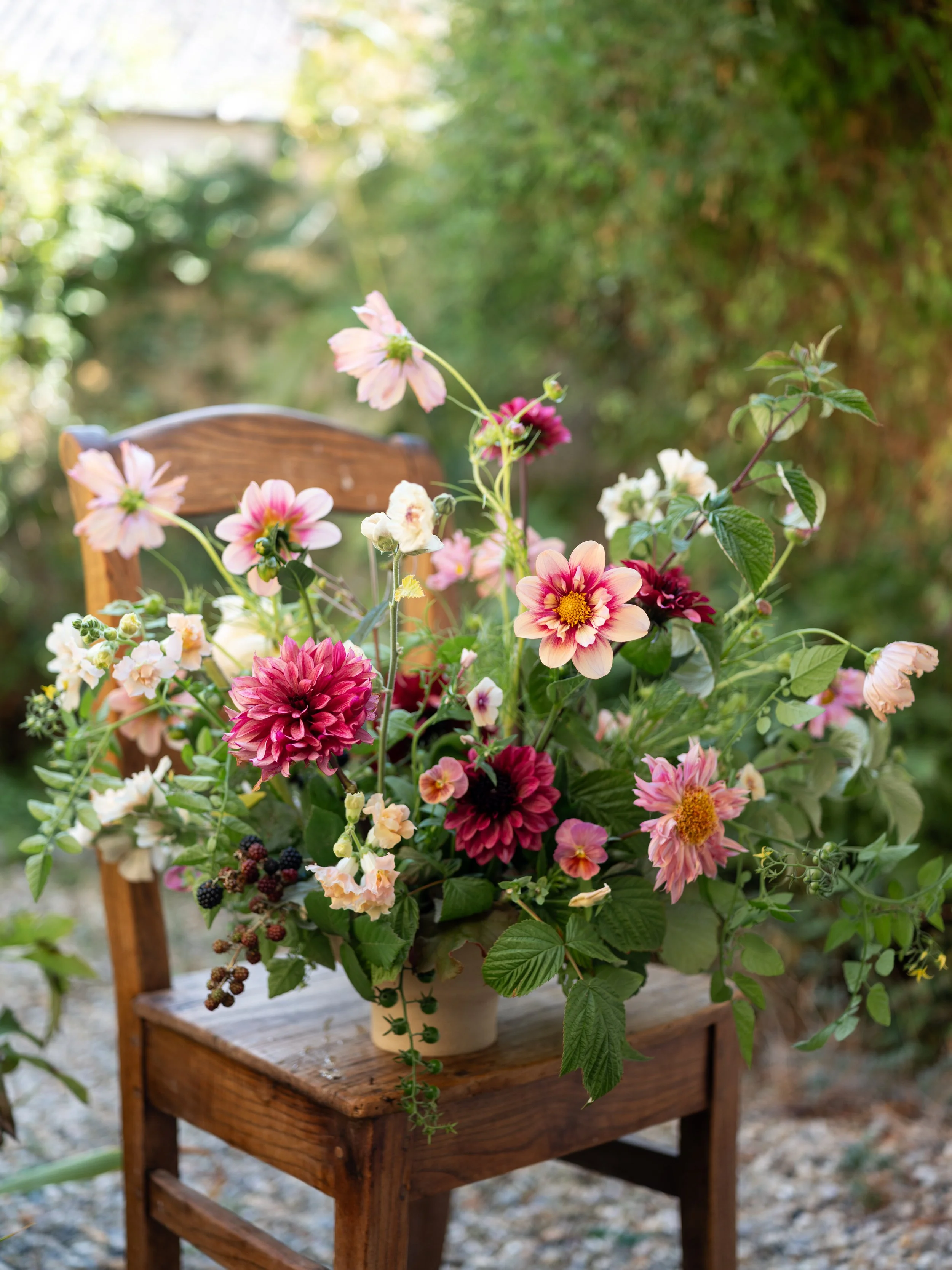 Harmonie 2026 - Raisa Zwart Photography-322.jpg