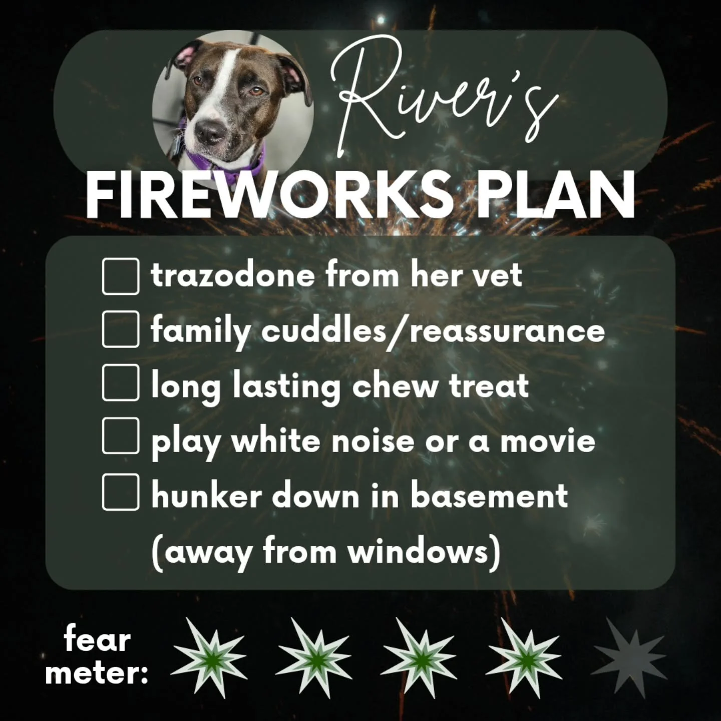 Scroll right to see more of River!

River is very scared of fireworks: her family rates her 4/5 💥. They have a plan in place to minimize her exposure to fireworks for now, and are working with her to help her reduce her fear of fireworks for the fut