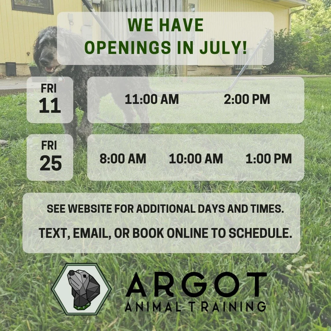 We still have July openings!

If you want your dog to be less worried about fireworks next year or to be more prepared for polite behavior with guests next time, now is the best time to start!

#dogsofcomo #dogtrainer #dogtrainercolumbiamo #columbiam