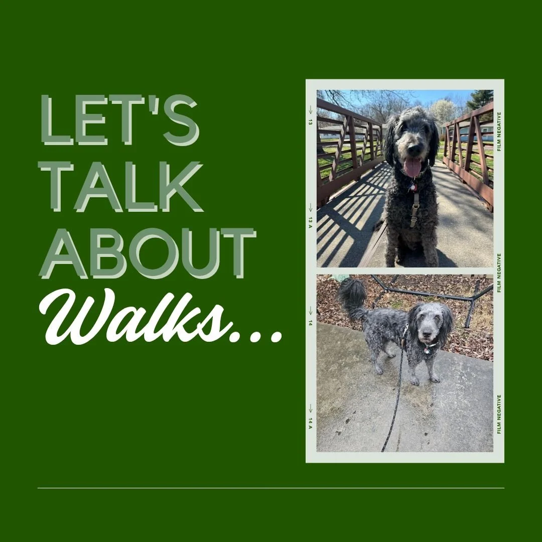 Let's talk about walks...

Walks are great, but... walks aren't an innate &quot;need&quot; for dogs. Walks are one of many ways to meet your dog's needs.

The dog needs we are trying to meet with walks are:
1 - exercise
2 - enrichment 
3 - socializat