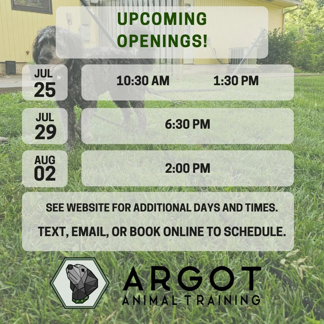 Check out our upcoming openings! 

#dogtrainer #dogtrainercolumbiamo #shoplocalcomo #columbiamo #trainyourdog #dogtraining