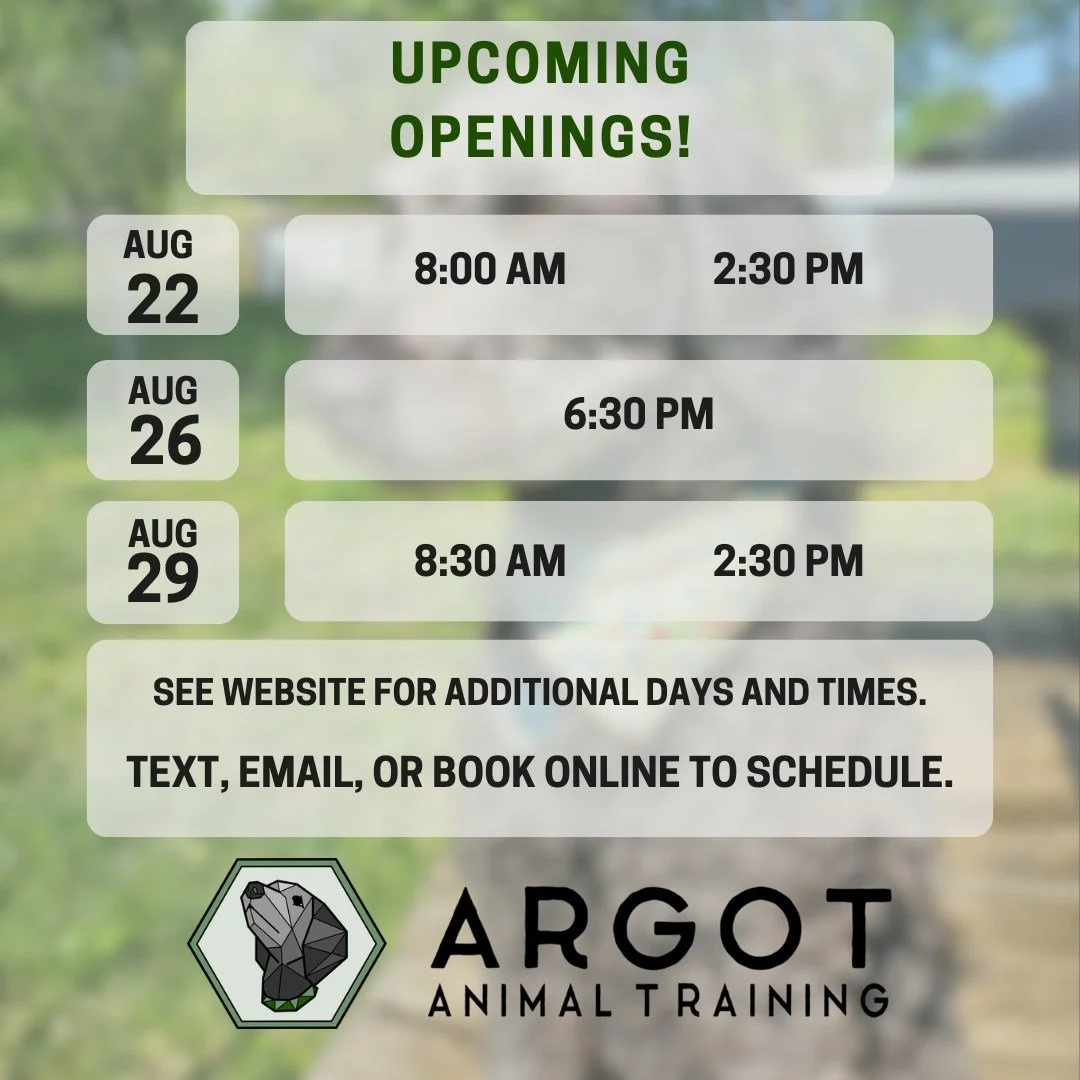 Get back to school with your dog, and learn some skills together! ✏️📚🍎🎓 

We have a few more openings this week and next, as well as later this month!

#columbiamo #shoplocalcomo #backtoschool #back2school #dogtrainercolumbiamo #dogtrainercomo #do
