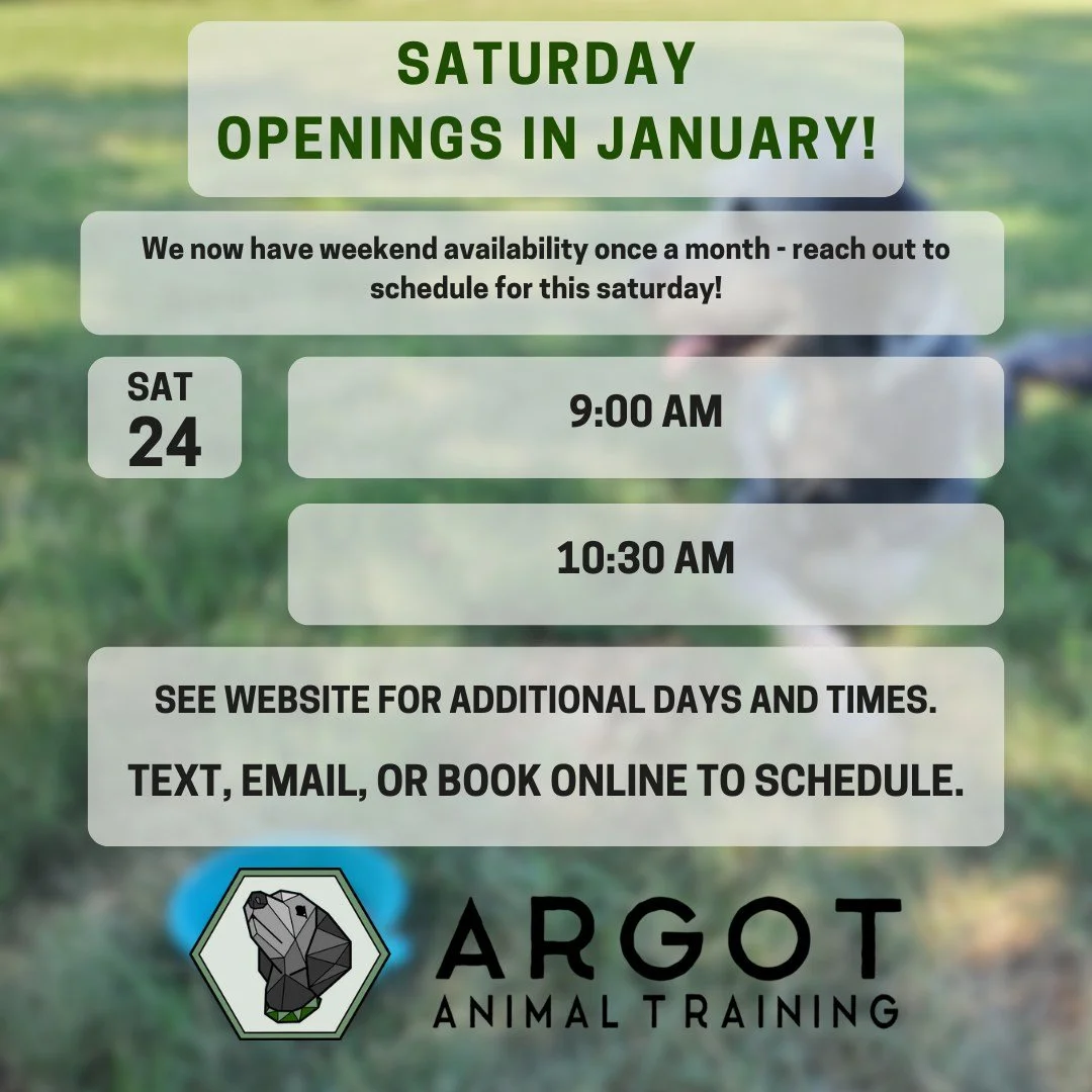 We added one Saturday a month to our availability, starting in January. Transform your dog from distracted, fearful, or reactive to calm, cool, and collected. Book online, or reach out by email or text to book your appointment! #dogtrainer #columbiam