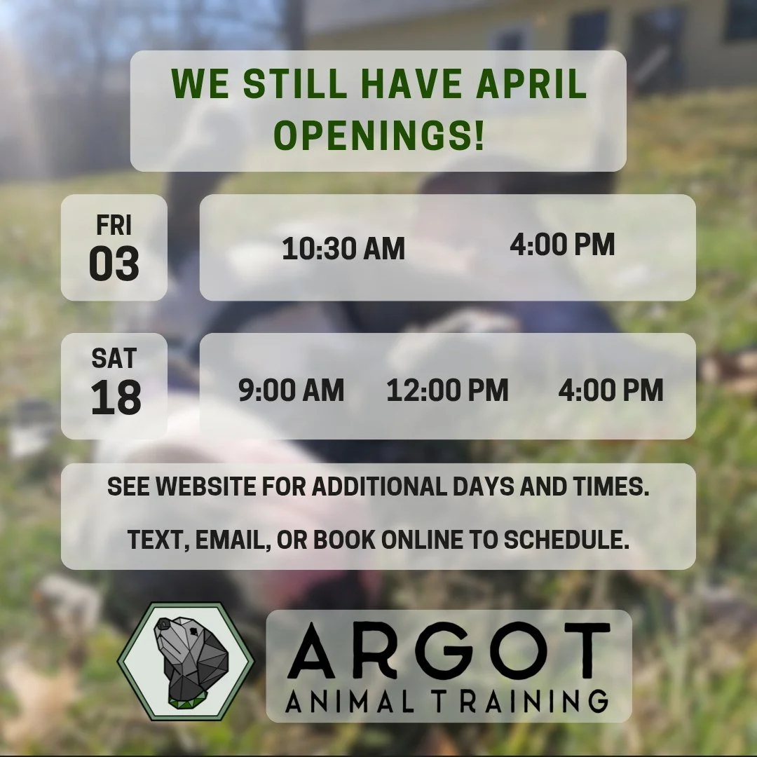 We still have some April openings! You can book online or reach us by text or email to get your next lesson booked.

--

#dogtrainer #columbiamo #shoplocalcomo #dogtraining  #dogtrainercolumbiamo #adolescentdog #puppy #shoplocalcomo #dogsofinstagram 