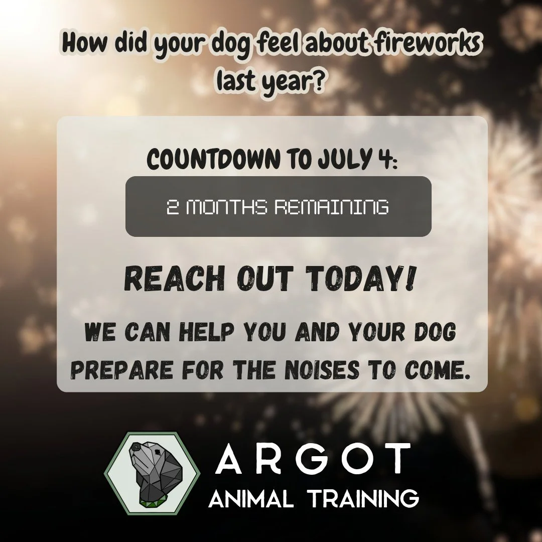 Did your dog struggle with fireworks last year? Has your new dog never experienced fireworks before? Do you want to help your dog be calmer and safer on one of the loudest days of the year?

Now is the time to start - not a week before July 4th. Fear