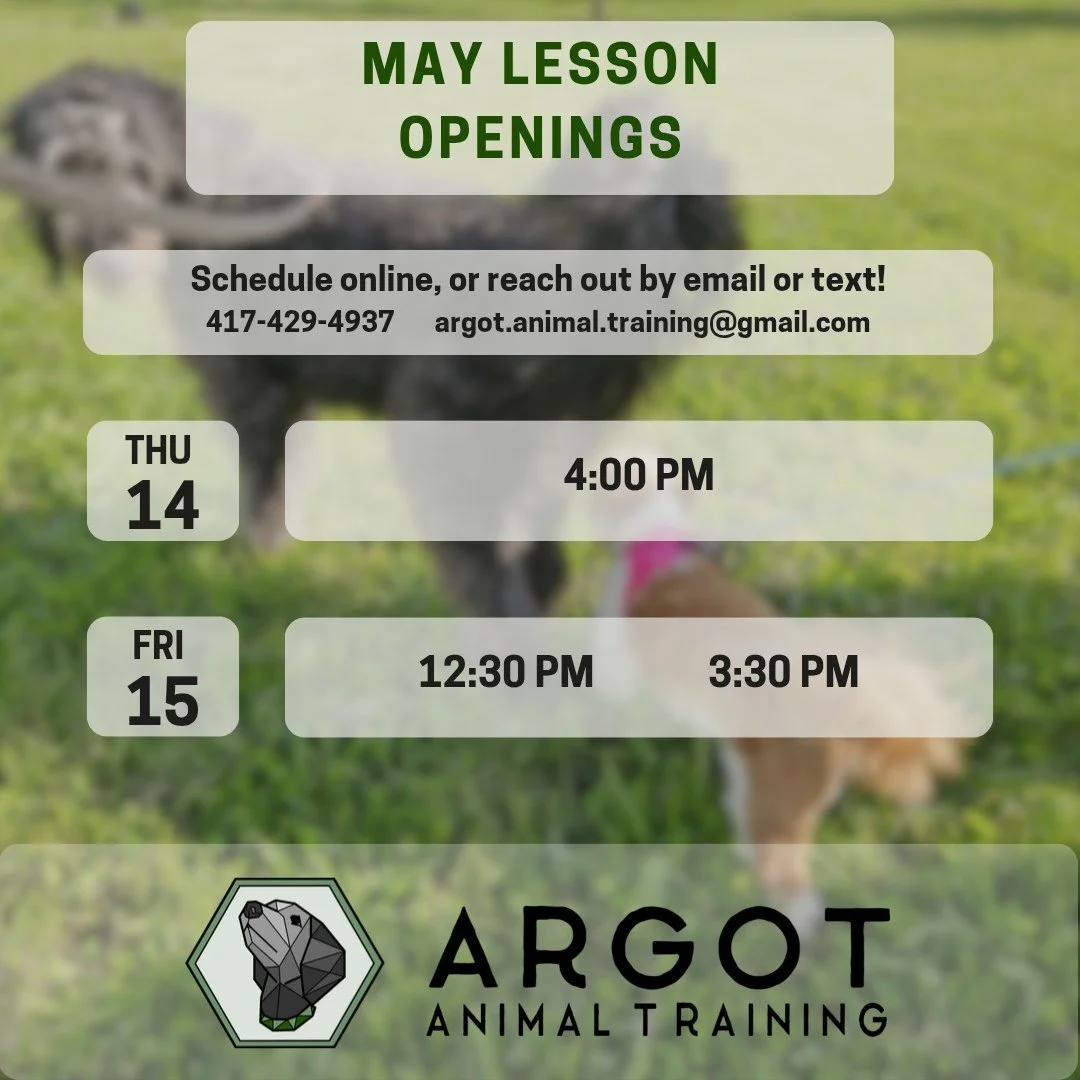 We only have a handful of lesson openings left in May, and they are THIS WEEK! Don't worry if they don't work for you - we have some openings in June as well.

Go online or reach out to schedule your next lesson!

#dogtrainer #columbiamo #shoplocalco