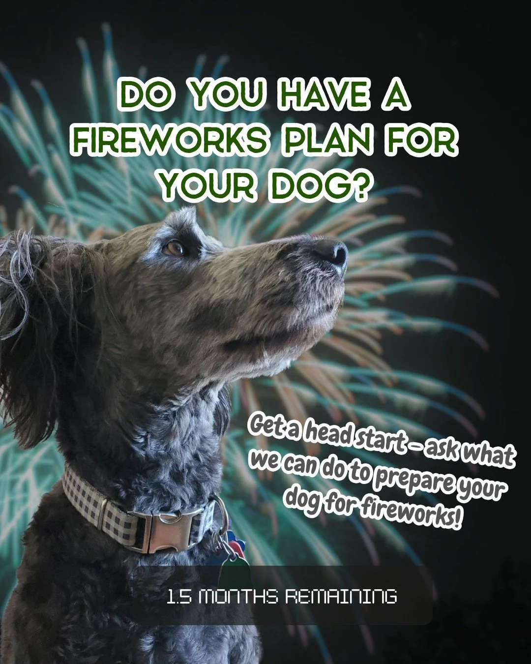 July 4th is one of the highest risk days for lost dogs in the US... the data shows that July 5th is the HIGHEST intake day for shelters nationally and that the days surrounding the 4th see a 30-60% increase in lost pets.

Lots of dogs find fireworks 