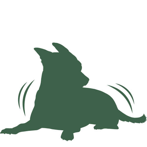 Green silhouette of a small scared dog laying on the ground, its ears back, body tense, and shaking.